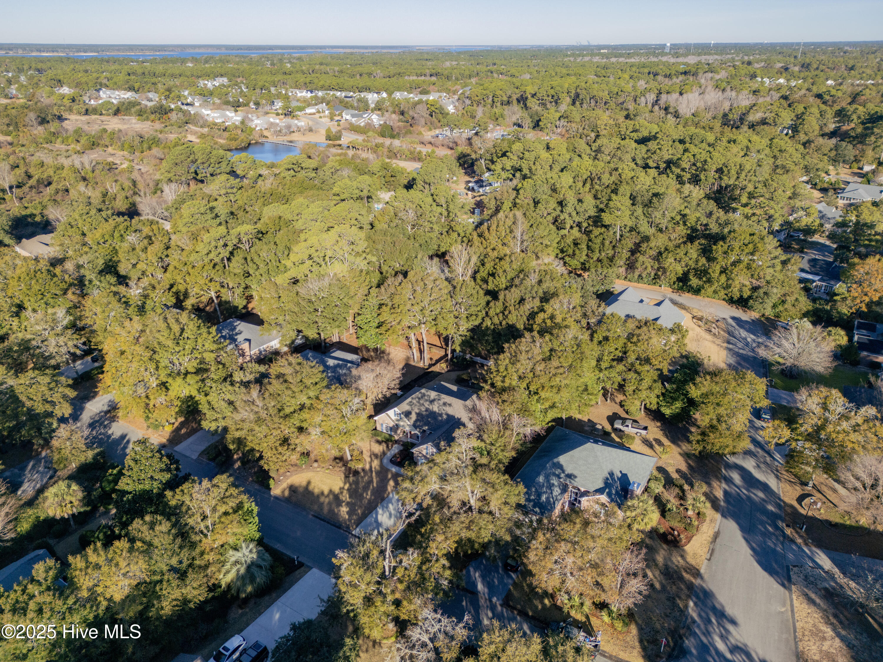 100546404 | Photo 40