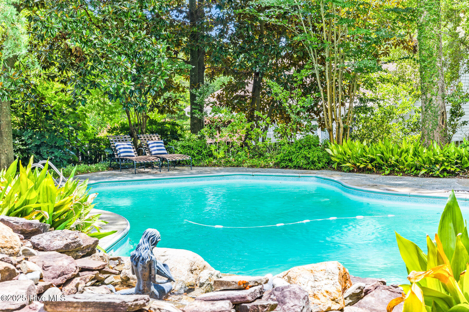 100489617 | Photo 43