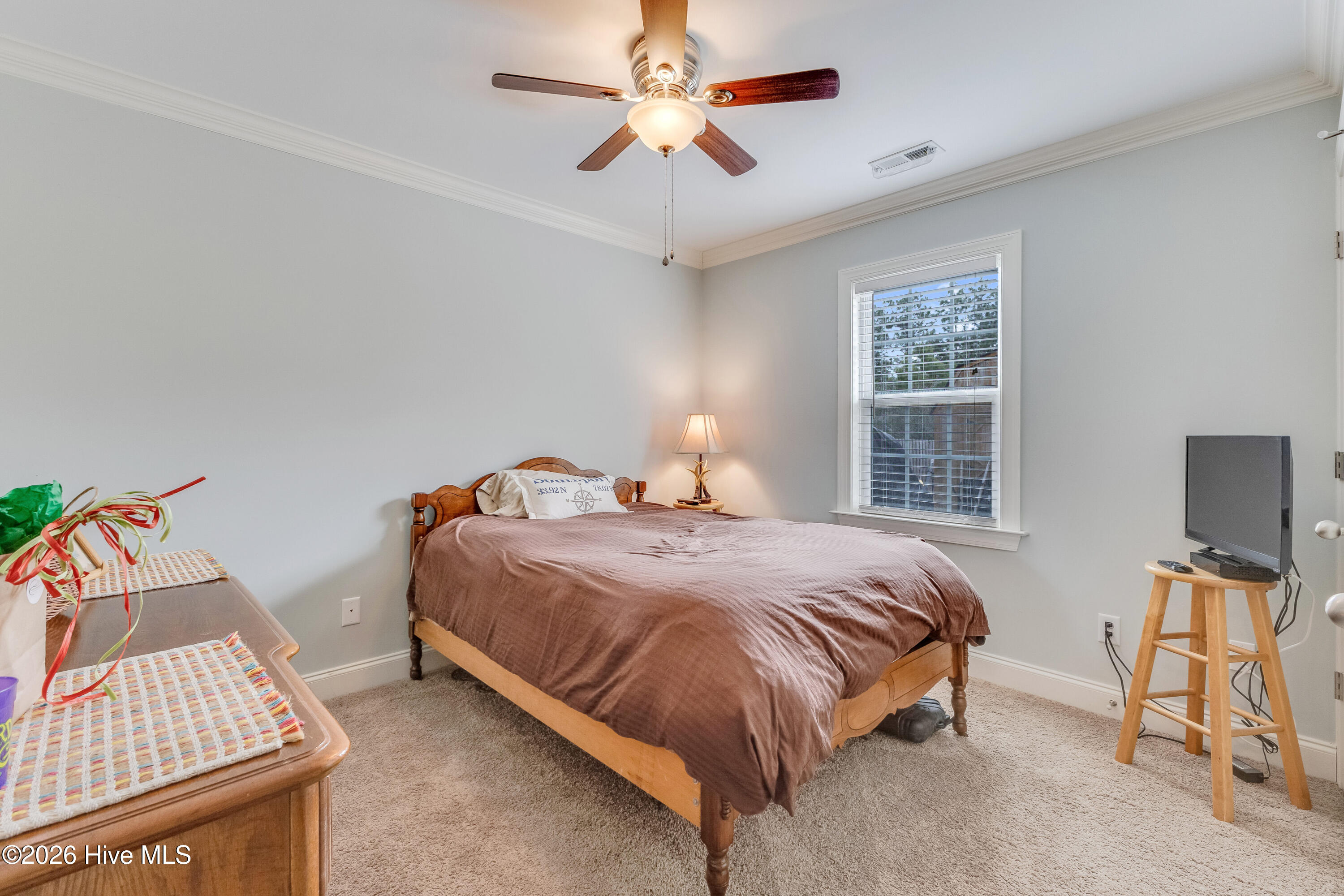 100551566 | Photo 23