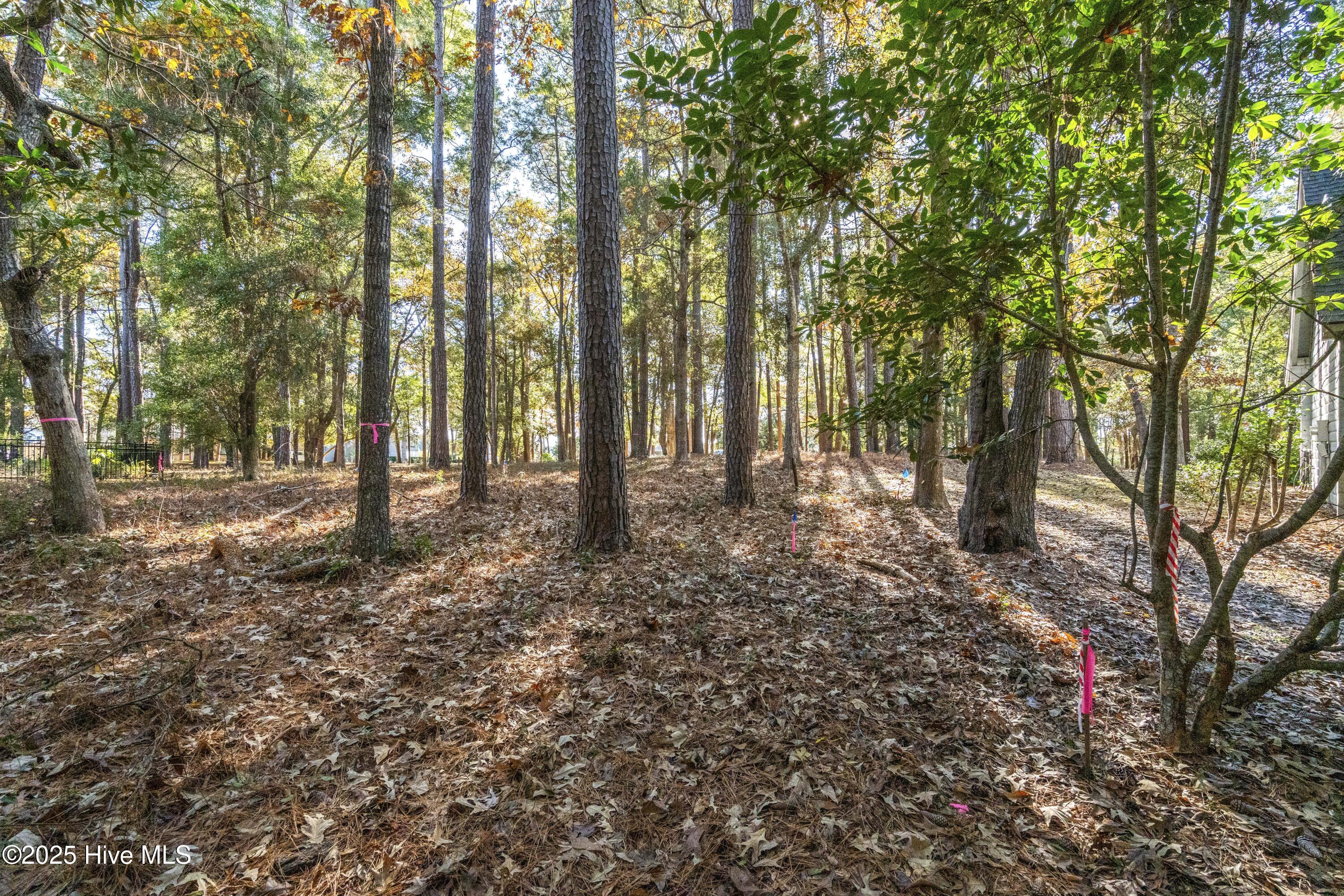 100545311 | Photo 11