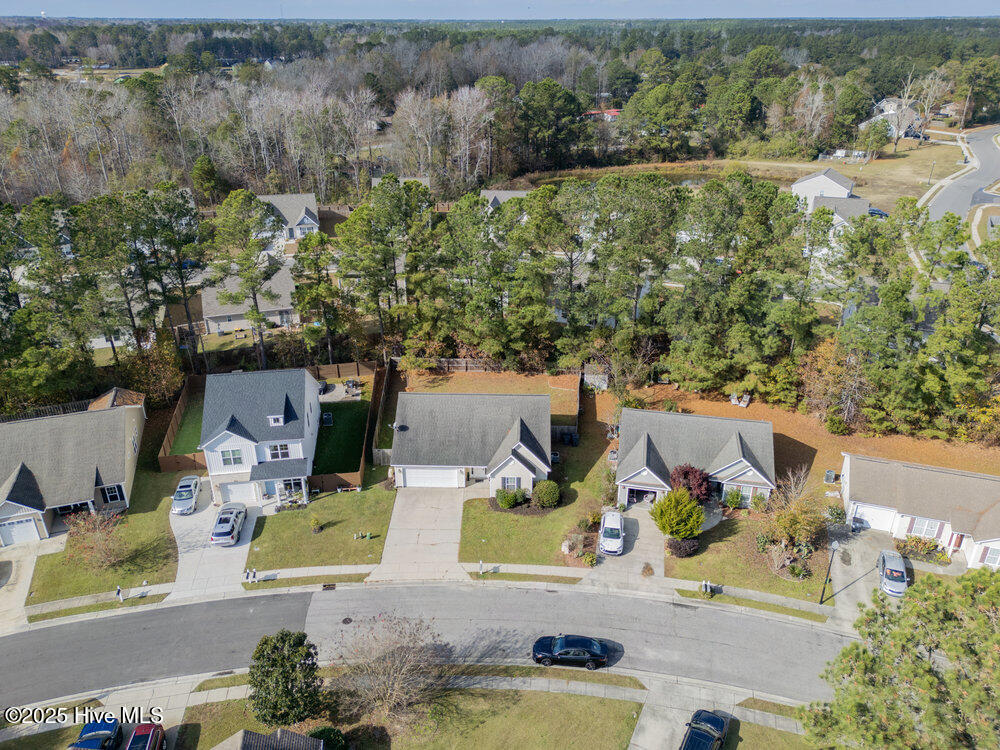 100543937 | Photo 30