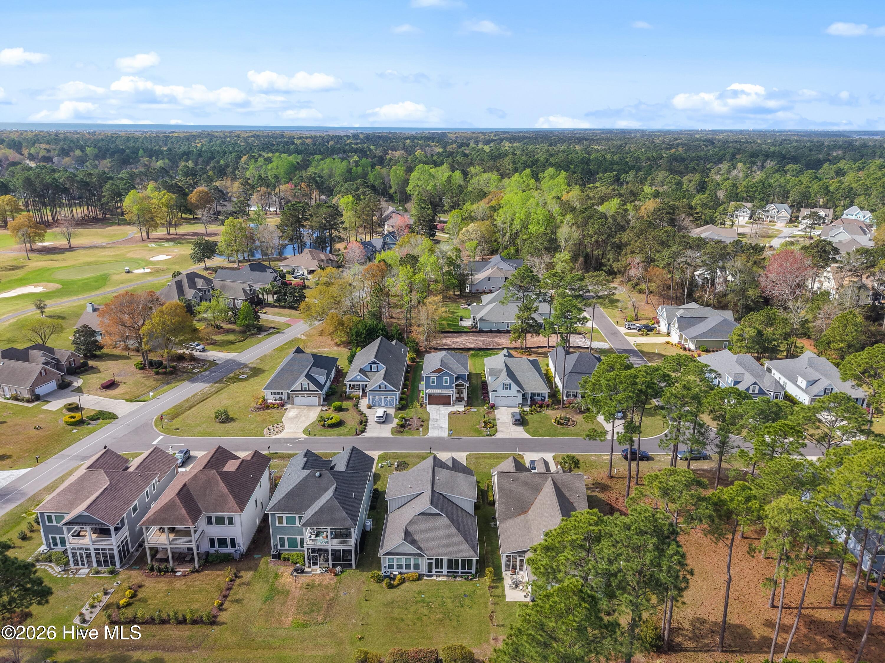 100563777 | Photo 56