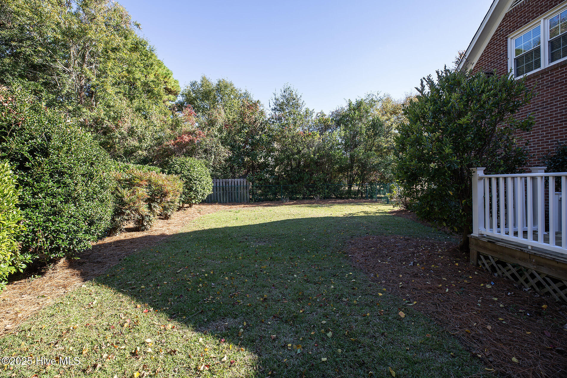 100541648 | Photo 58