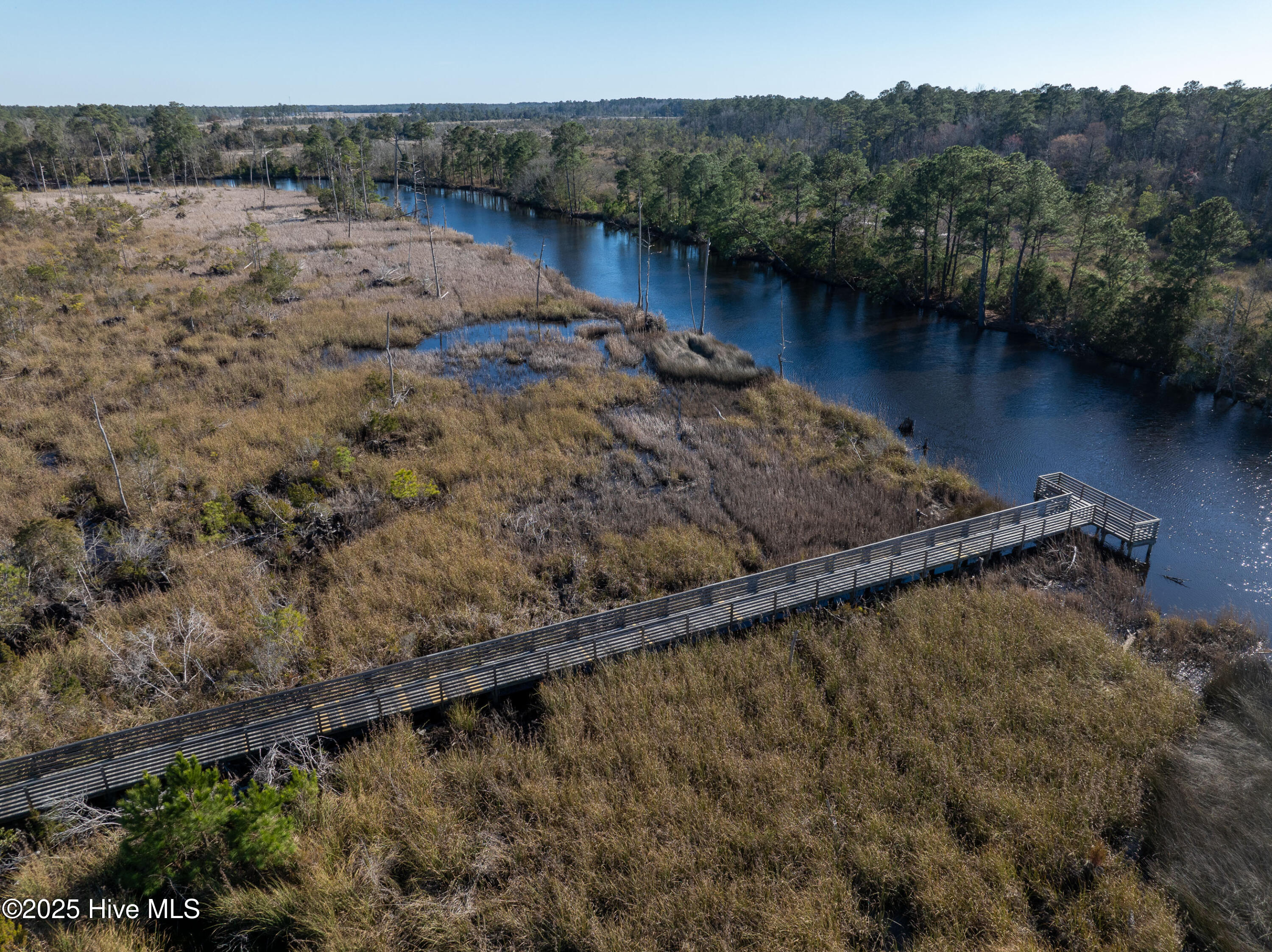 100536128 | Photo 49