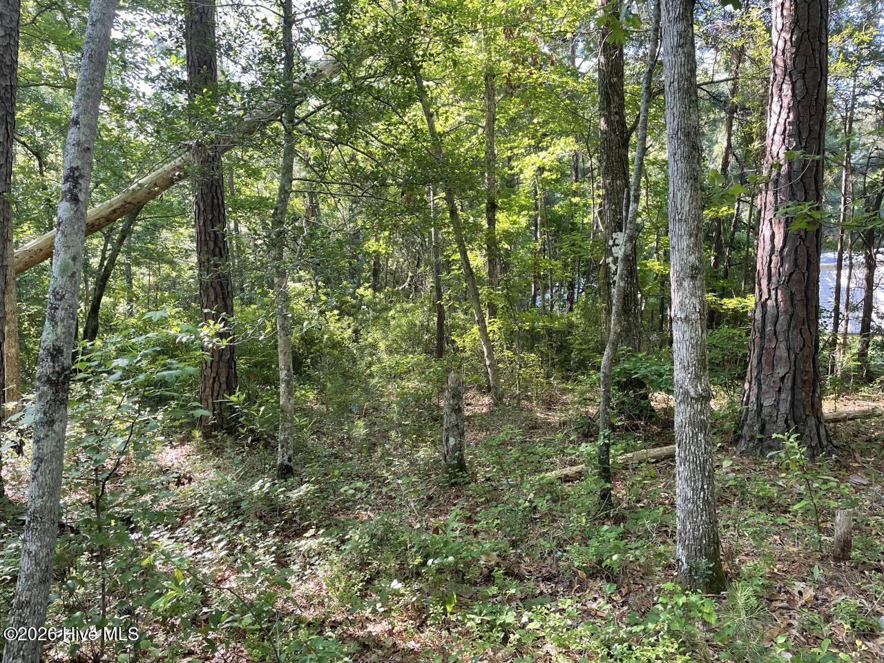126 34 Deer Trail,Beaufort