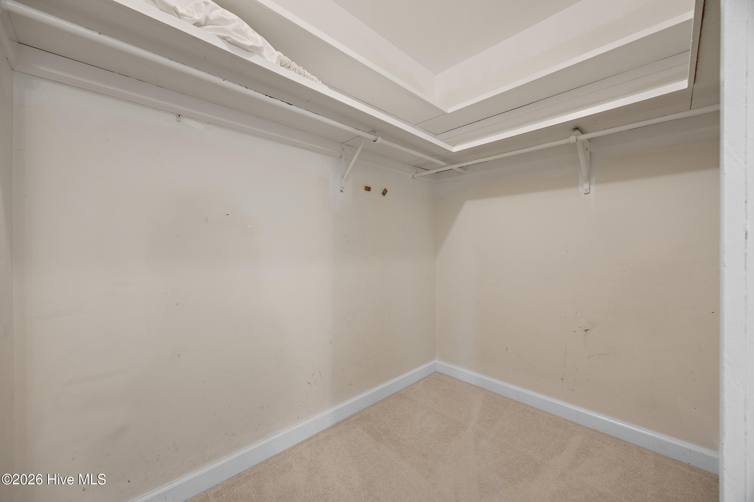 100558264 | Photo 41