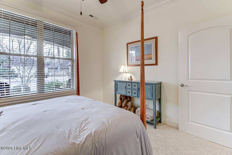 100548216 | Photo 27