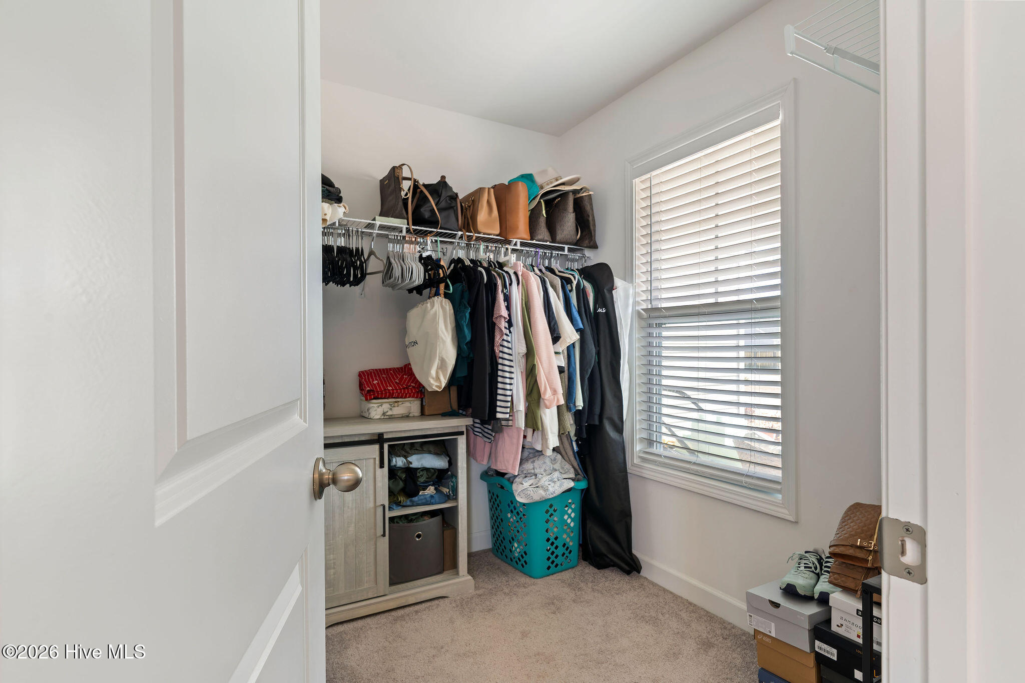 100563153 | Photo 15