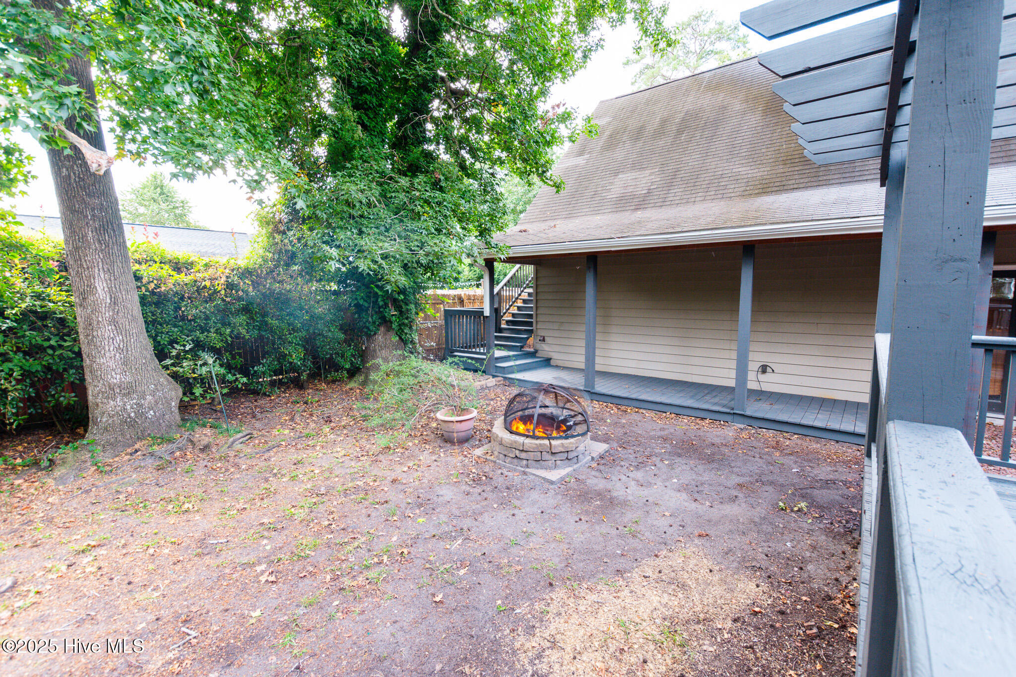 100529268 | Photo 43