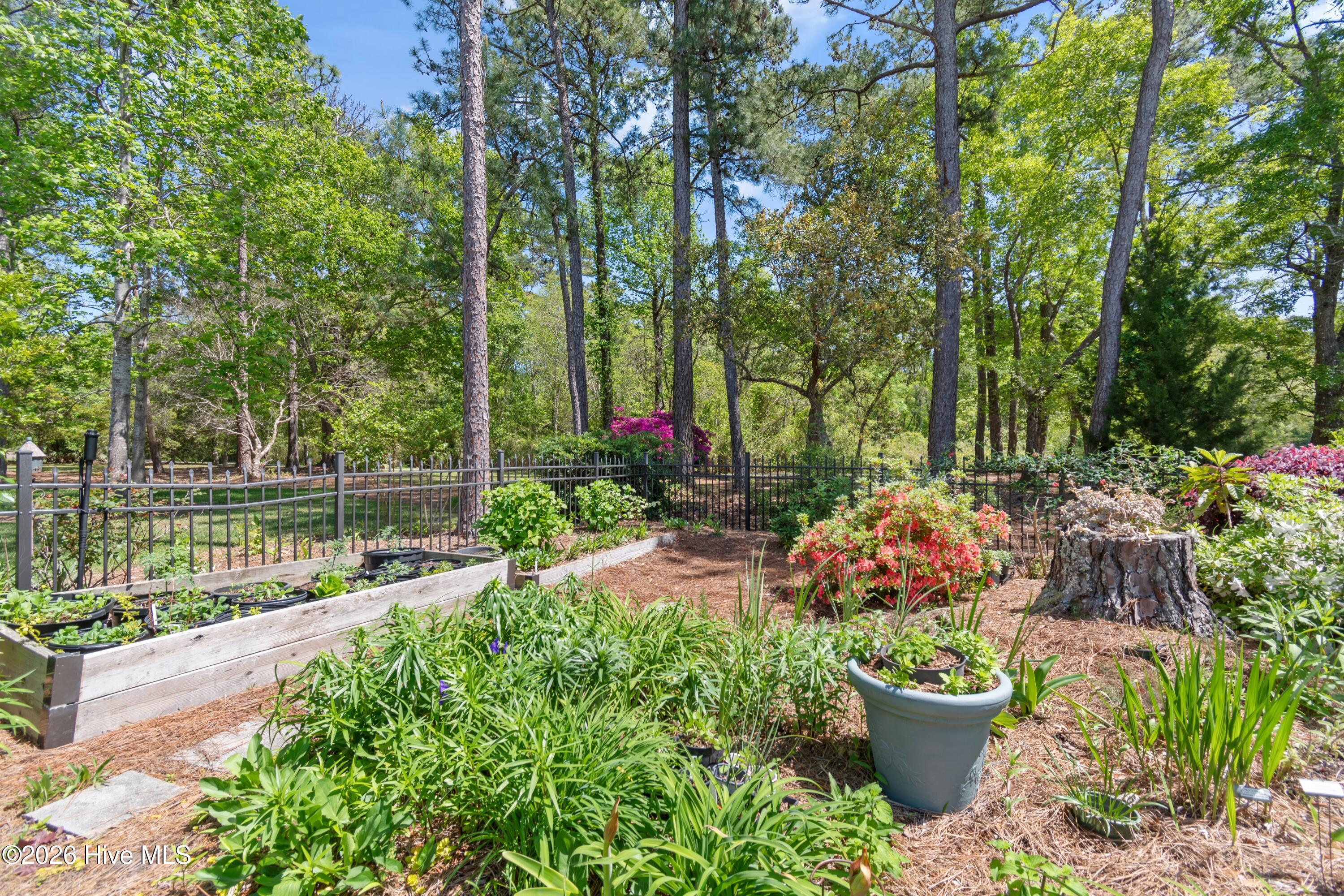 100567309 | Photo 60