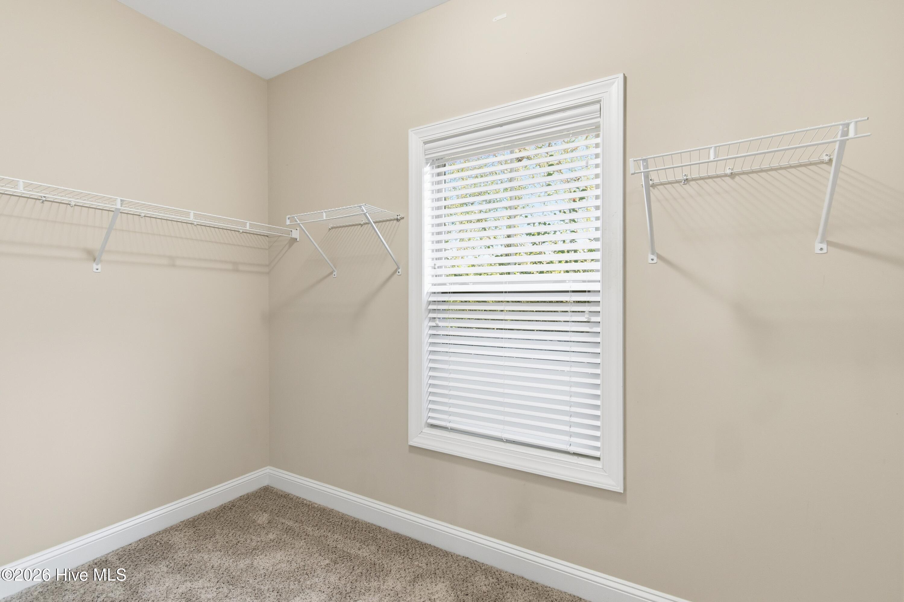 100549174 | Photo 26