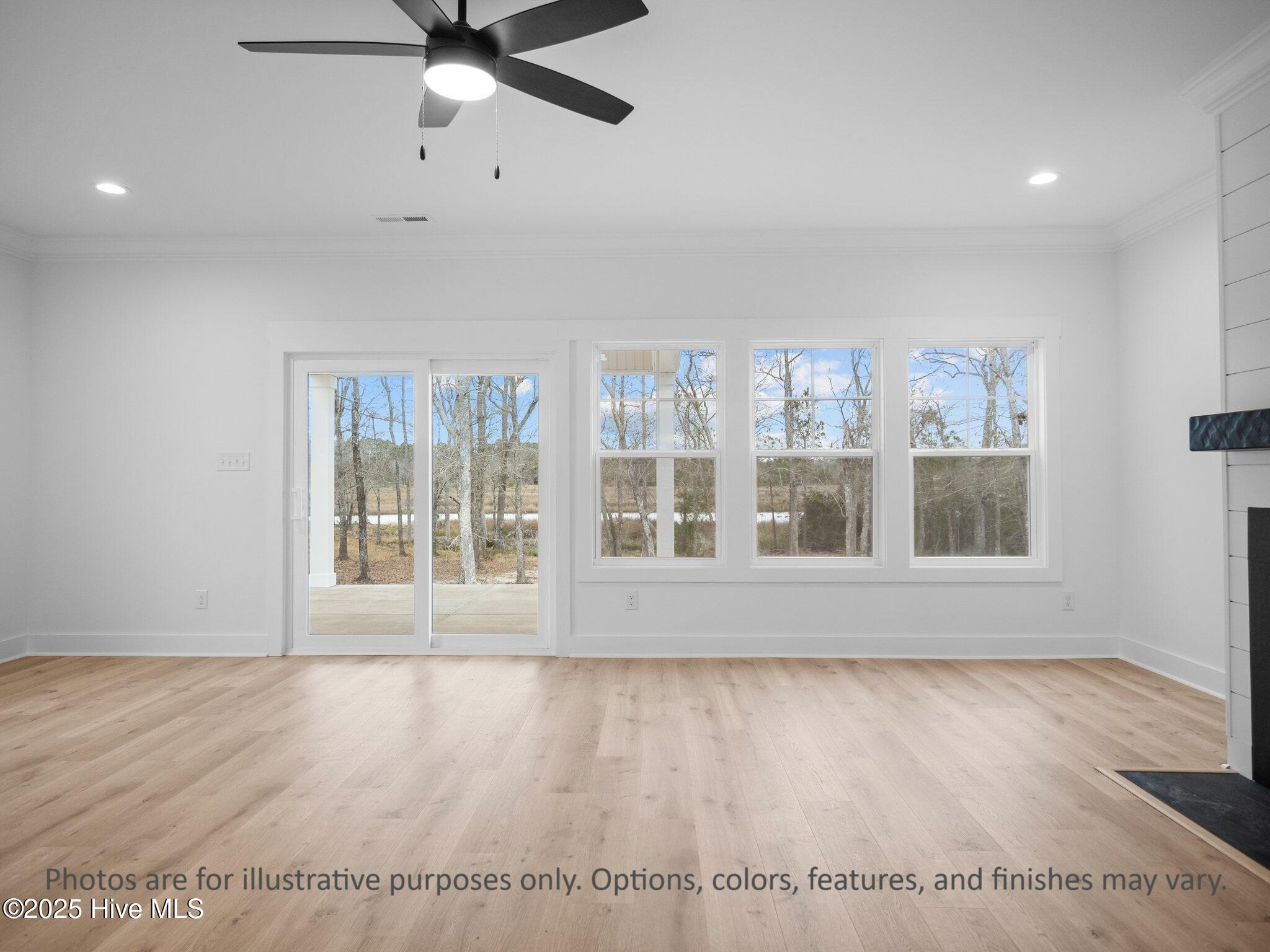 100536099 | Photo 10