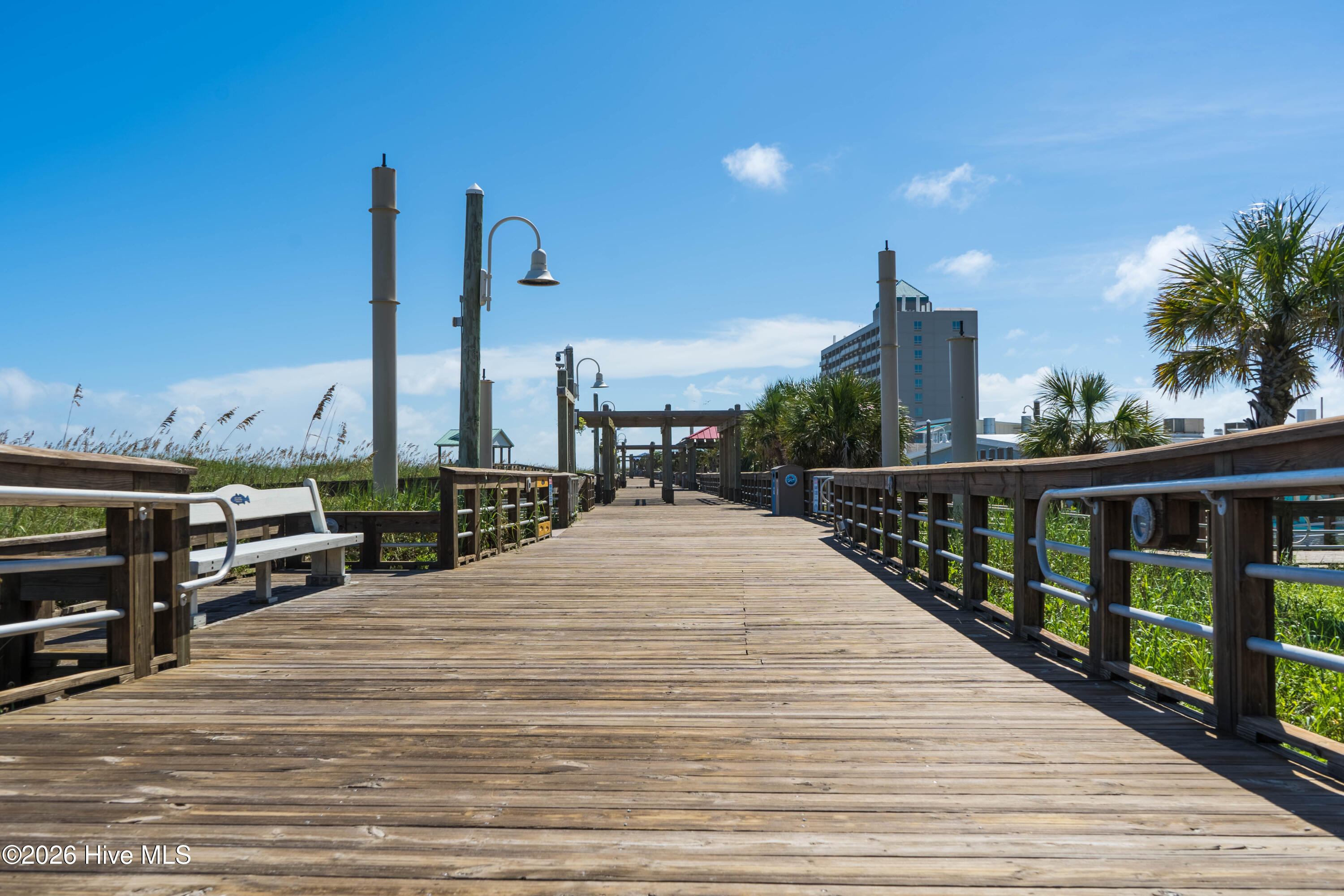 100566755 | Photo 65