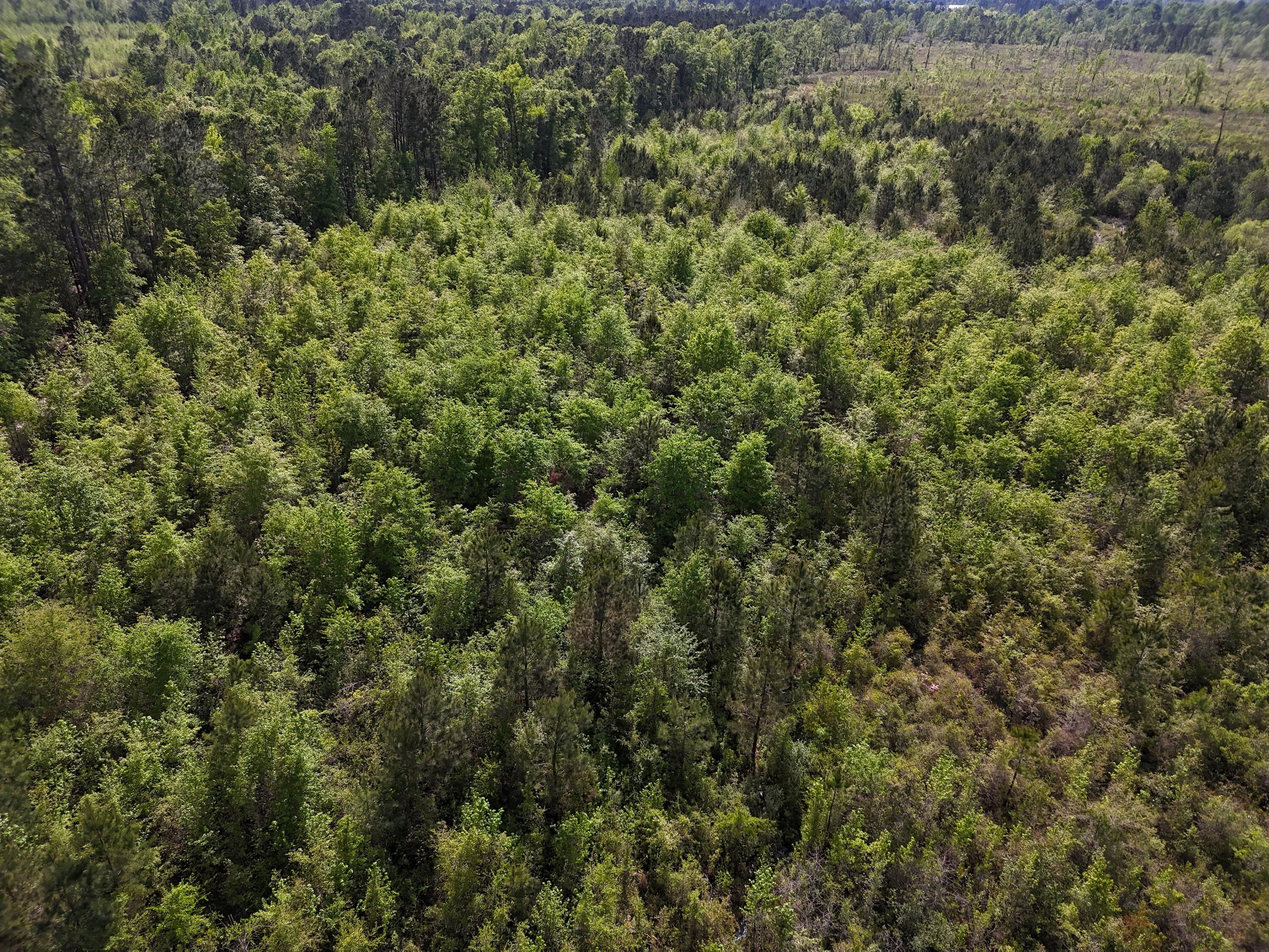 DJI_20250410043344_0005_D