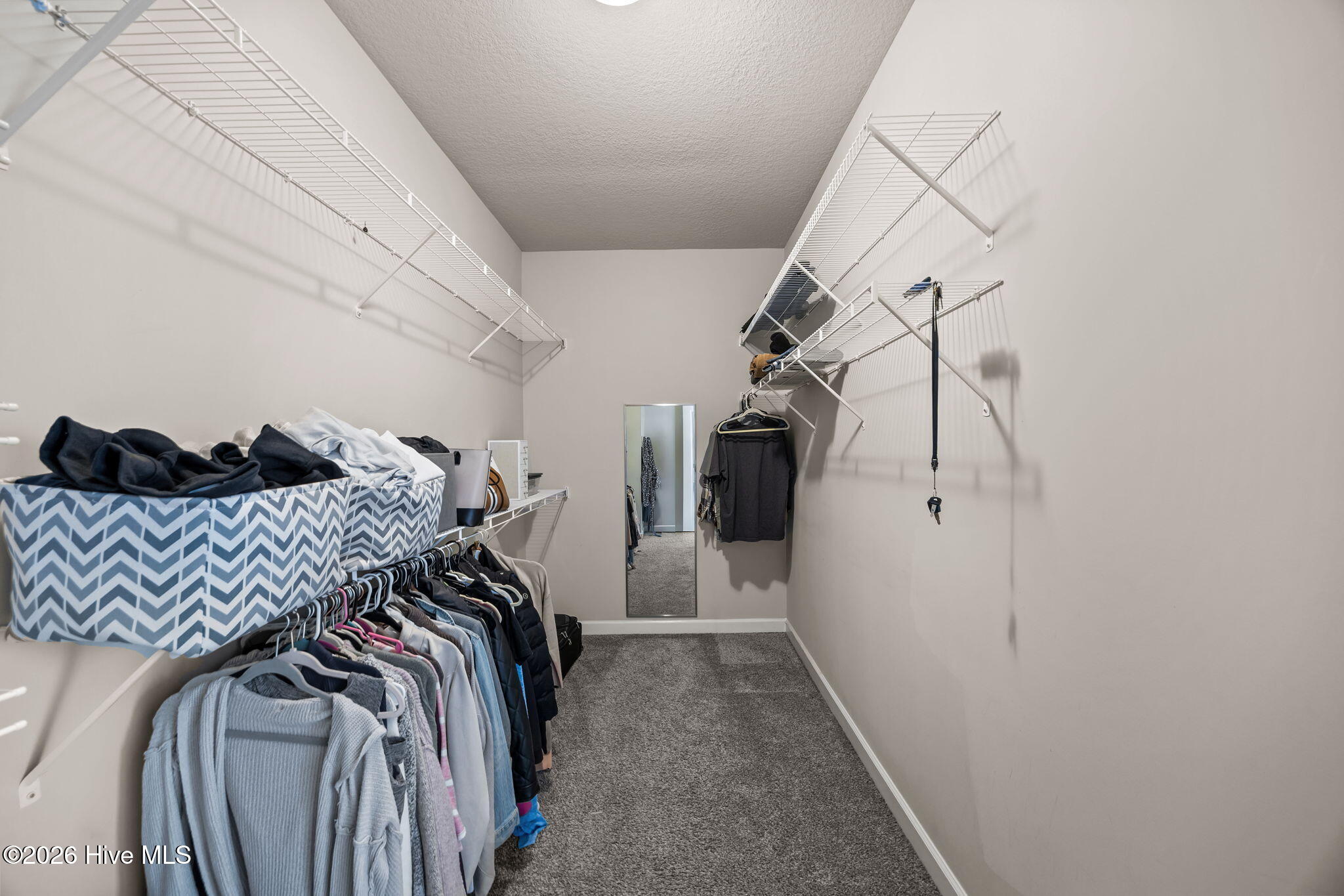 100556762 | Photo 22