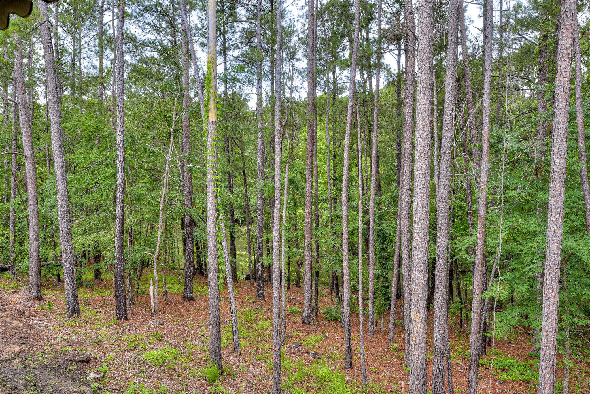Homes for sale in Mc Cormick, SC | 315 Coastal Cove Cove, Mc Cormick, SC 29835 | MLS# 98199551