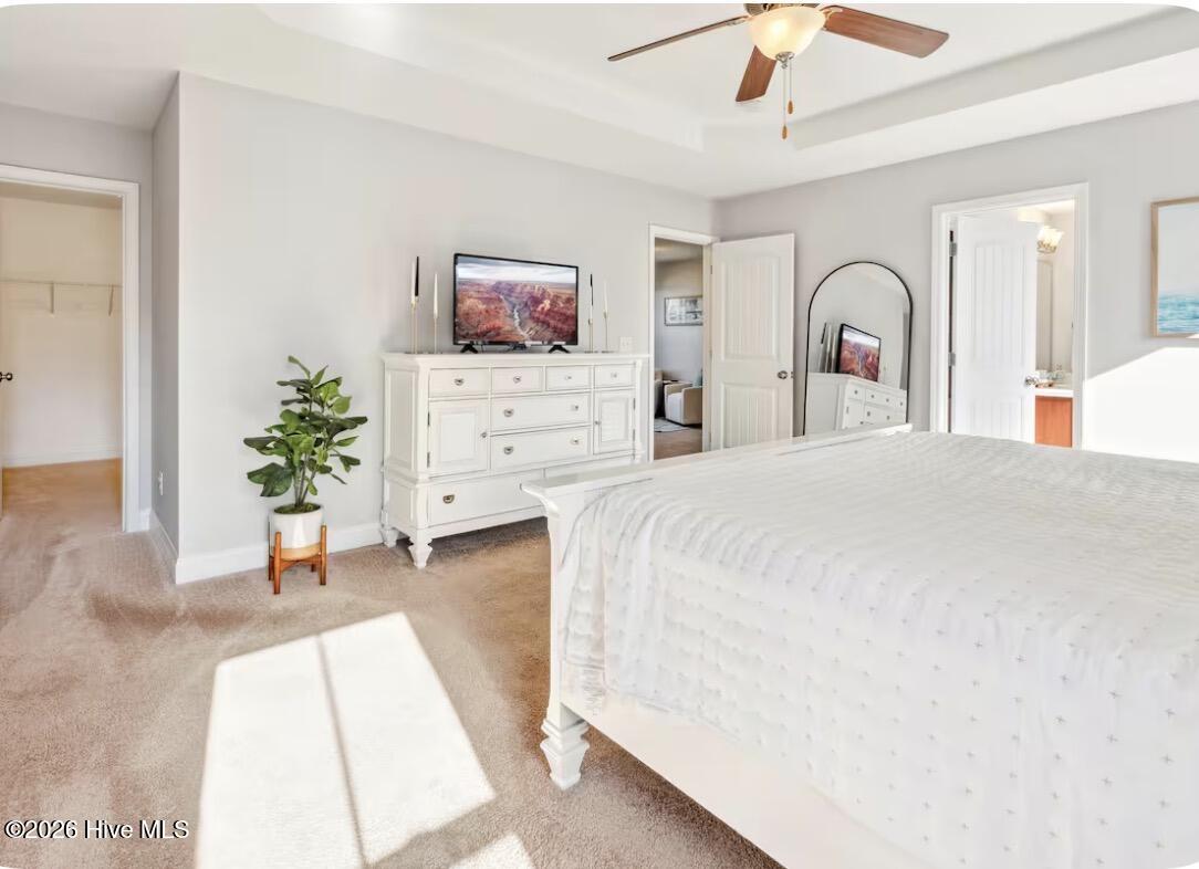 100567439 | Photo 15