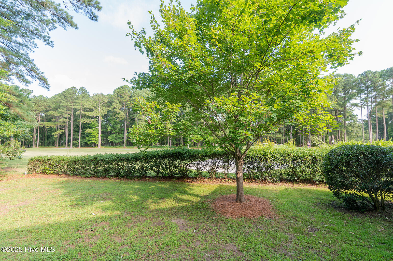 Homes for sale in Hertford, NC | 134 Greenwood Dr, Hertford, NC 27944 | MLS# 100495313