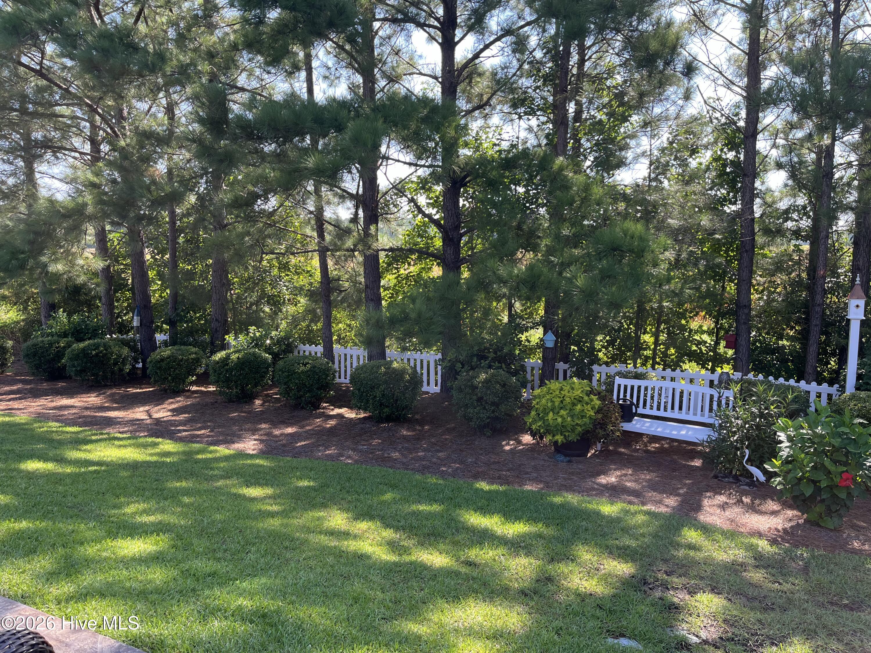 100555117 | Photo 44