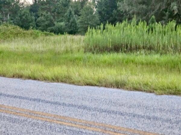 Homes for sale in Waynesboro, GA | 300 Home Tract Rd, Waynesboro, GA 30830 | MLS# 549263