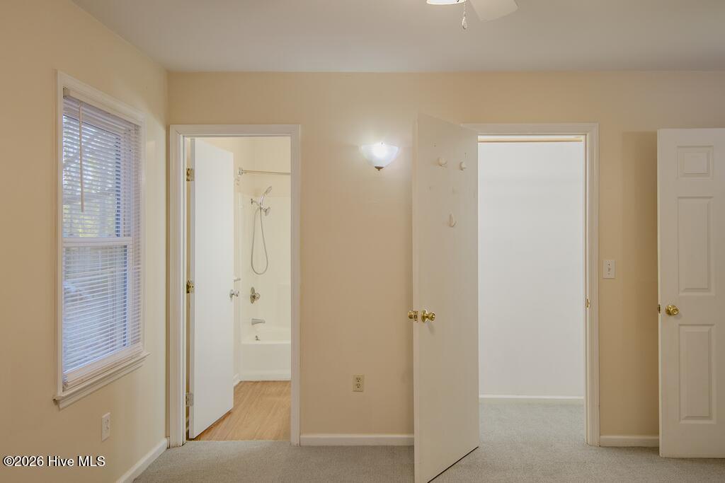 100536821 | Photo 22