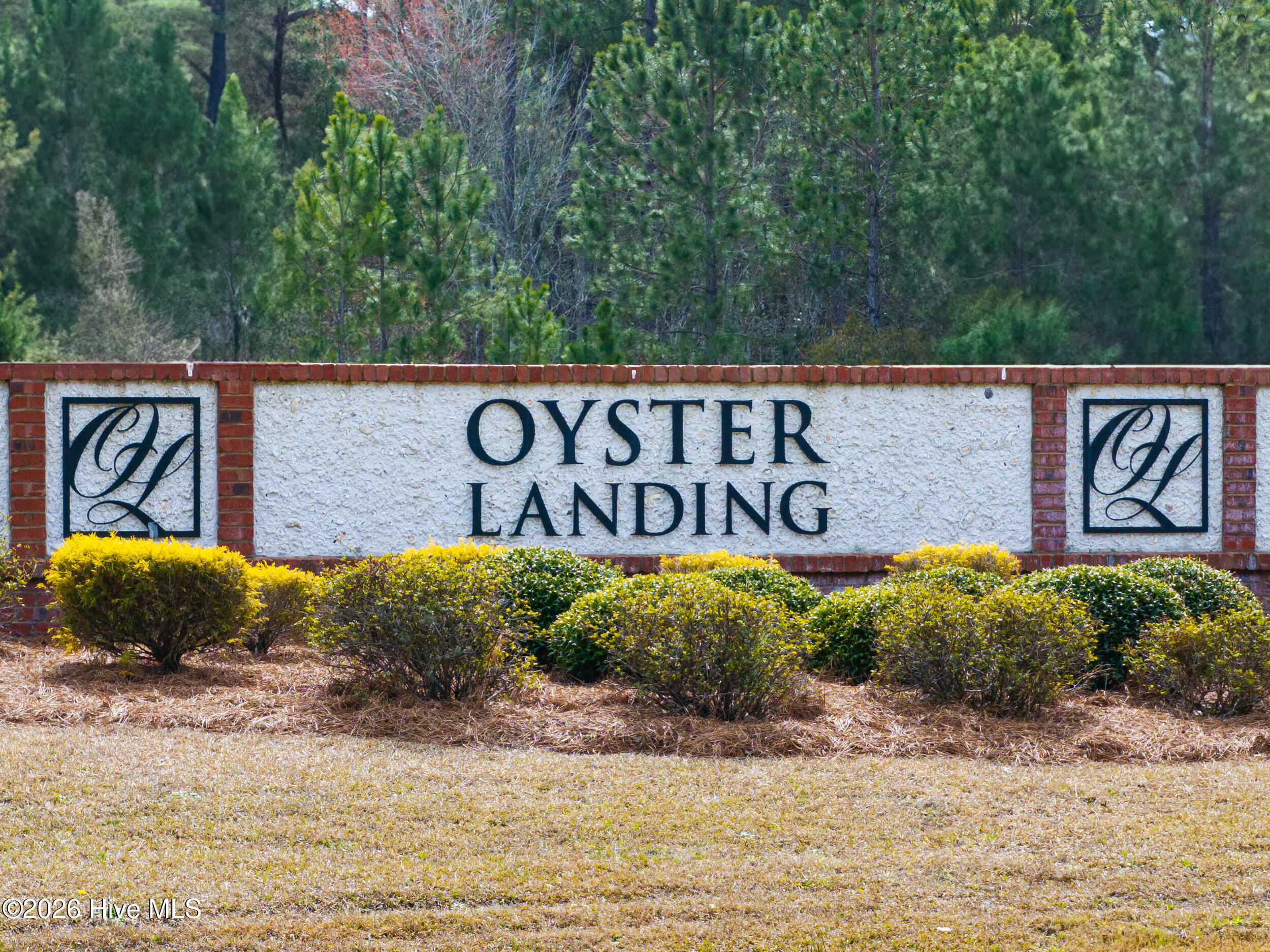 100558096 | Photo 74