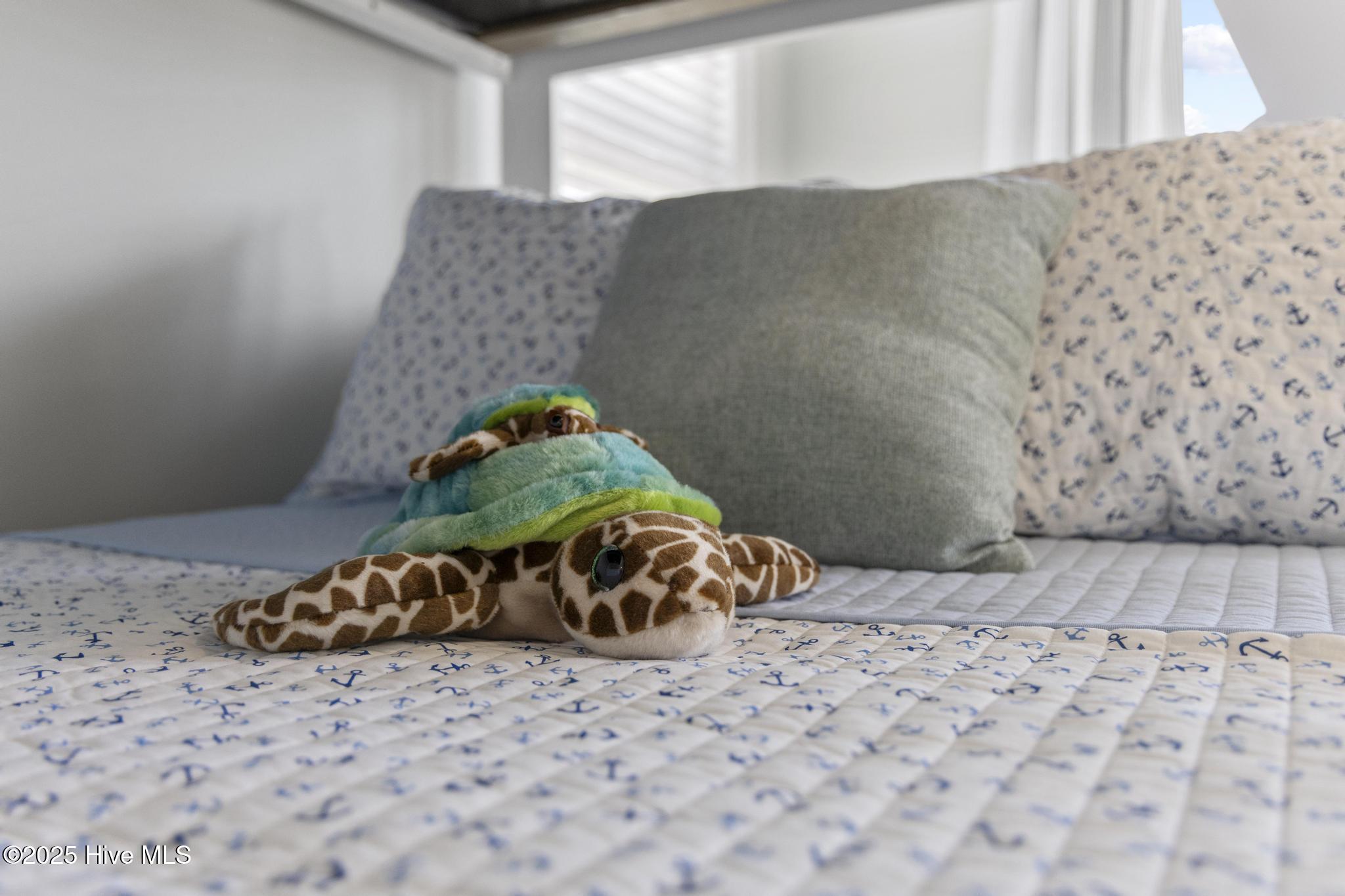 100498543 | Photo 105