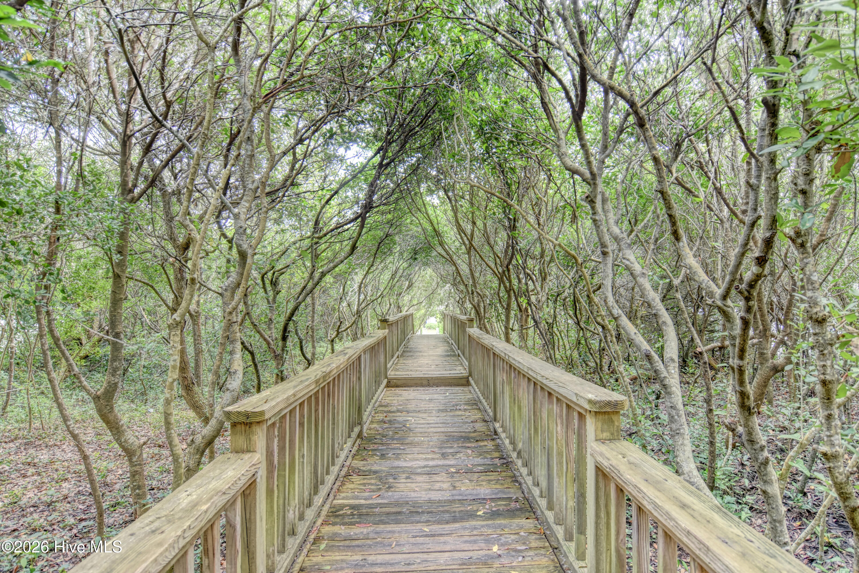 100551394 | Photo 68