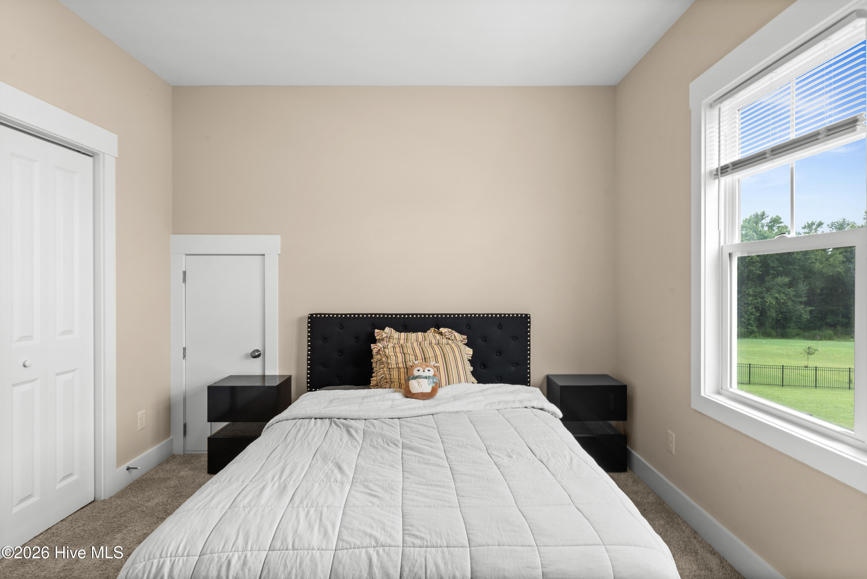 100569273 | Photo 47