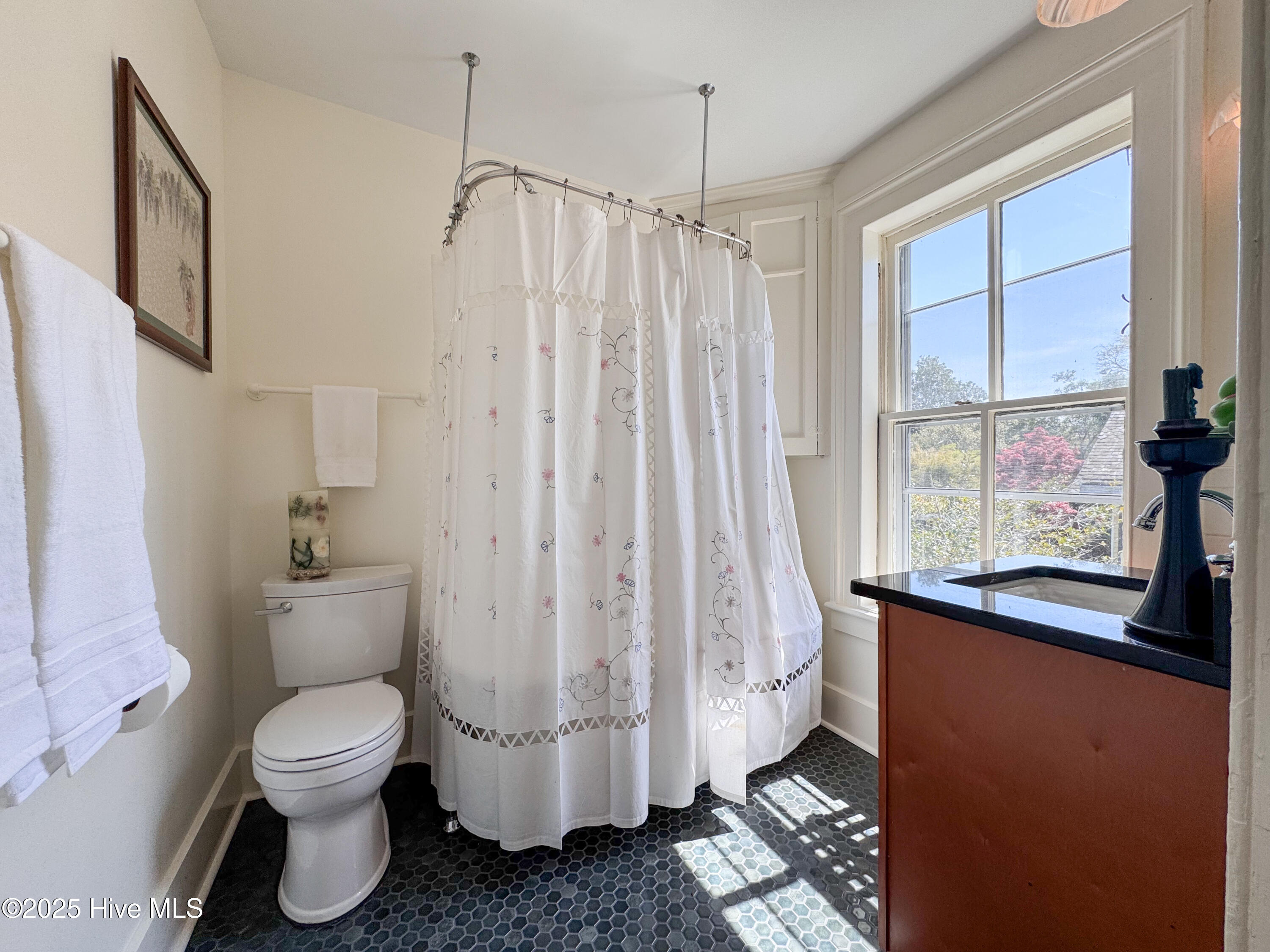 100501936 | Photo 81