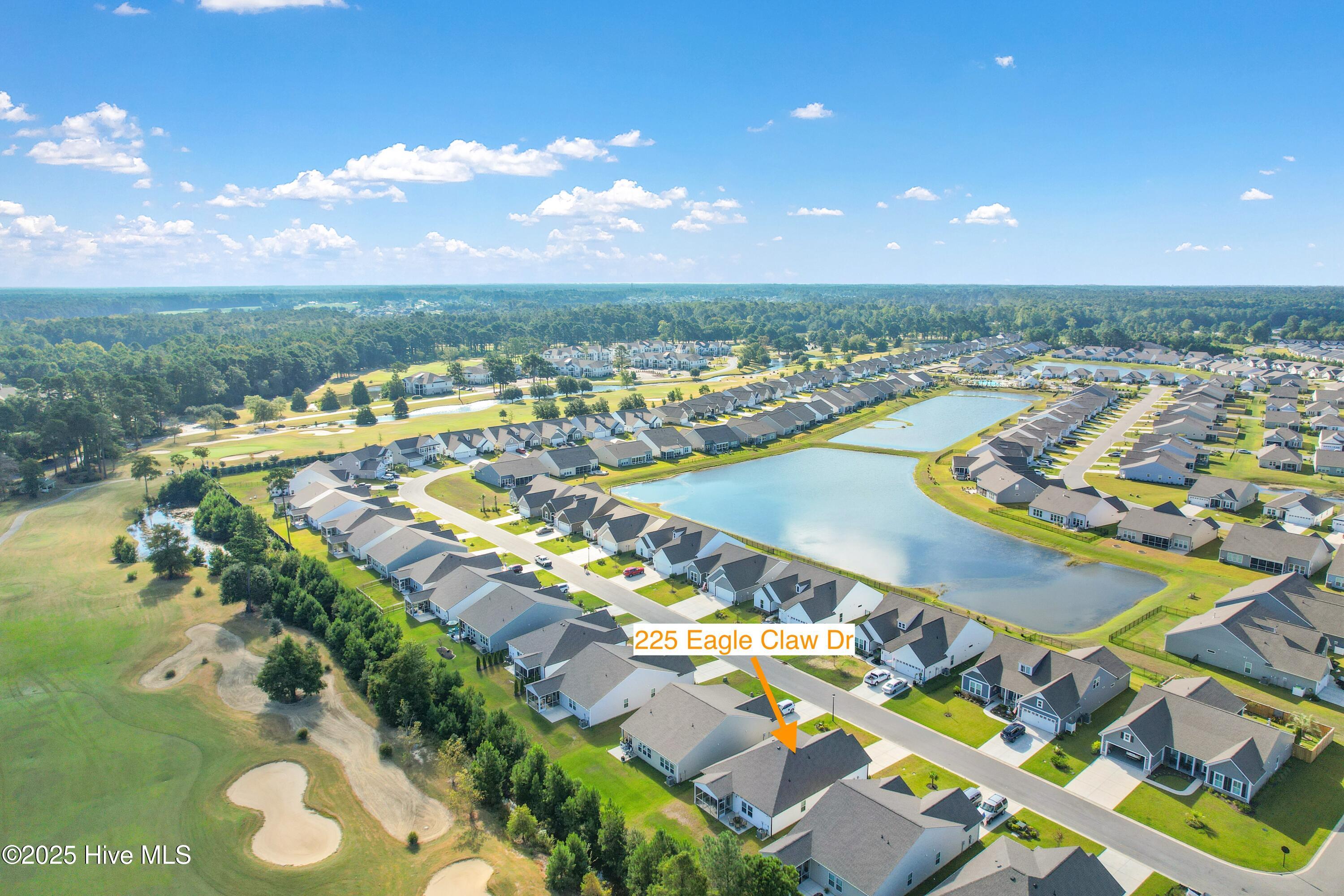 100532742 | Photo 36