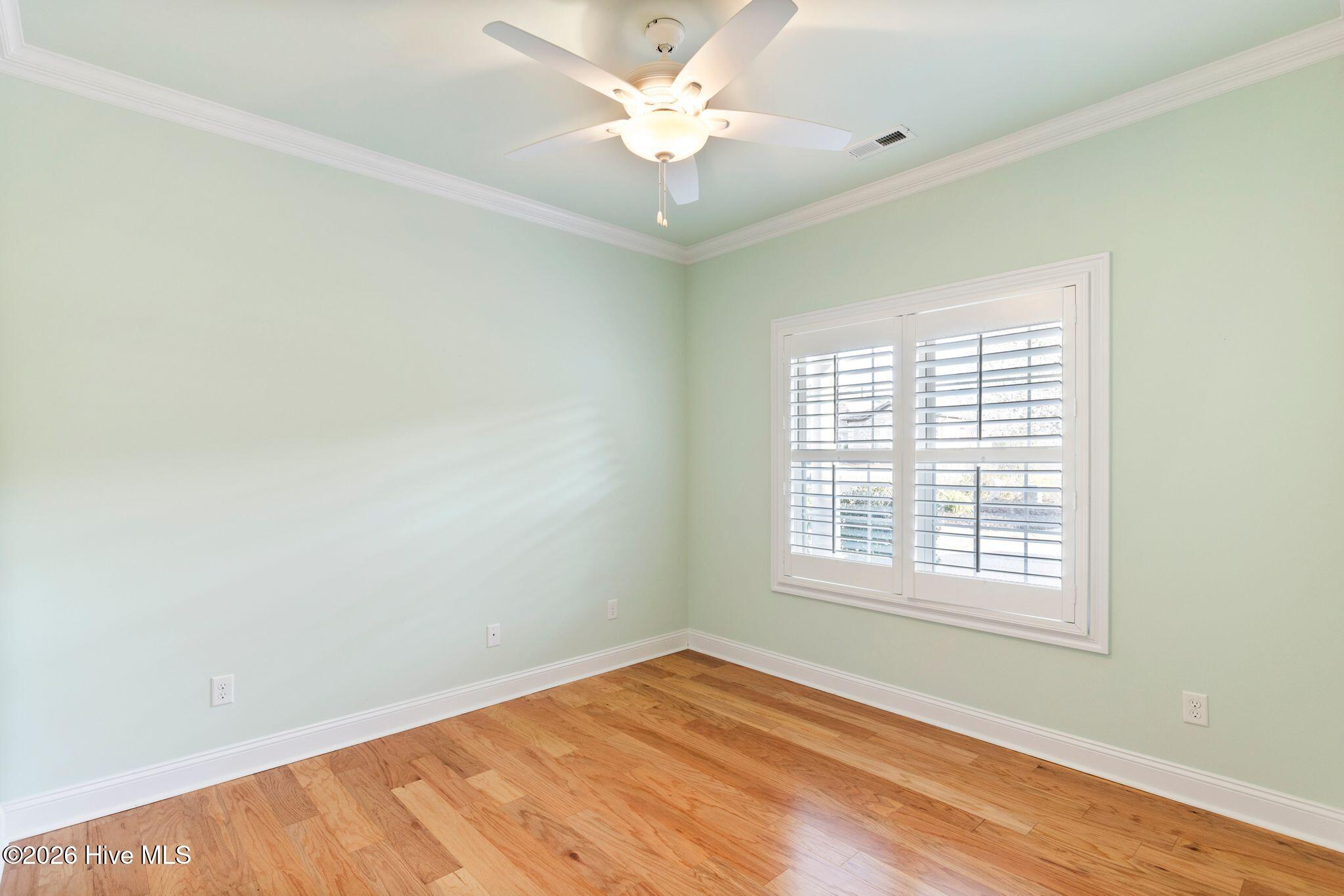 100559645 | Photo 25