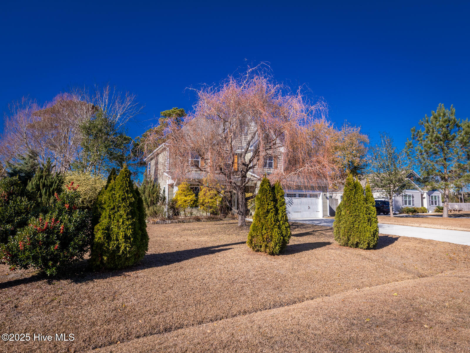 100546251 | Photo 44