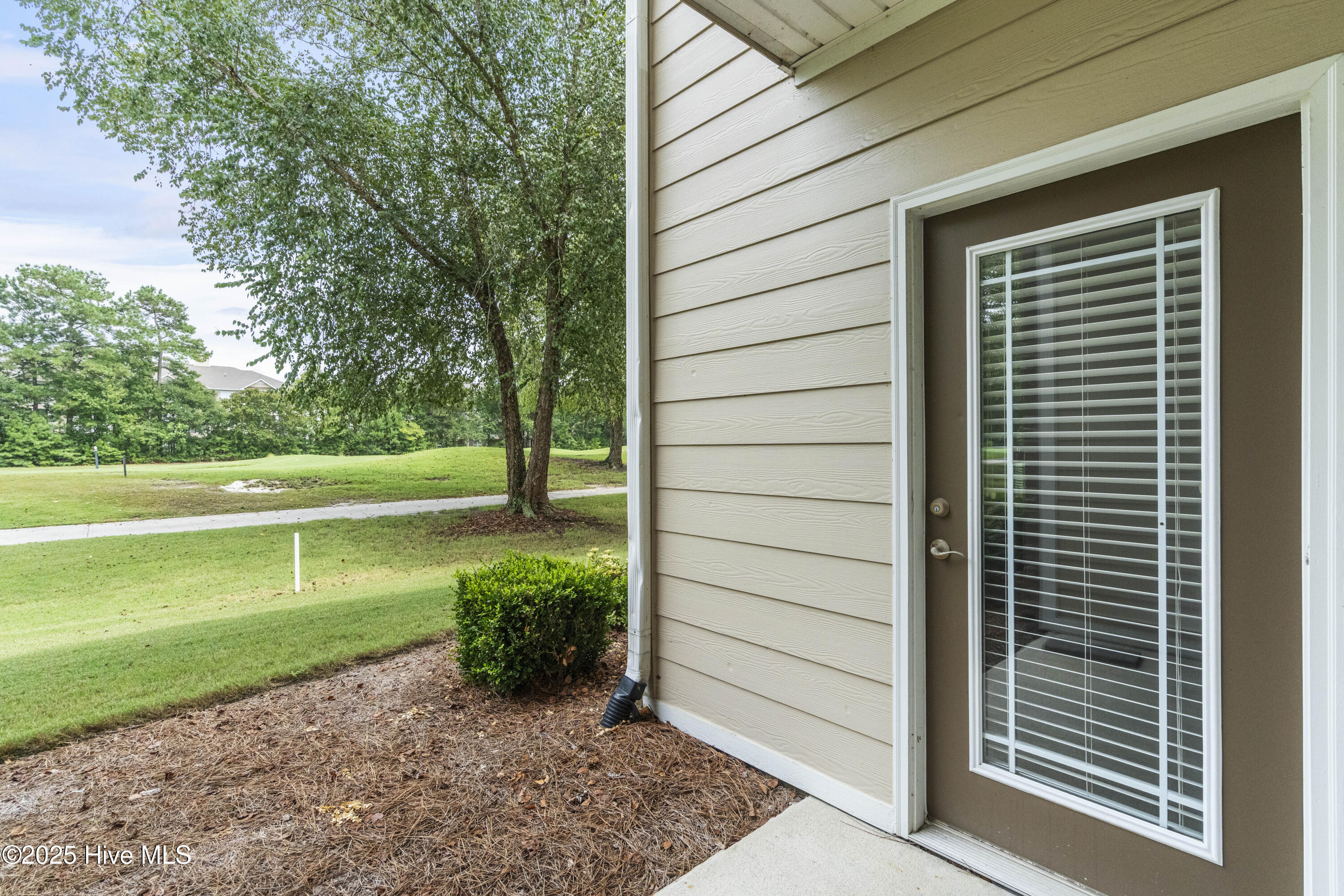 100564335 | Photo 37