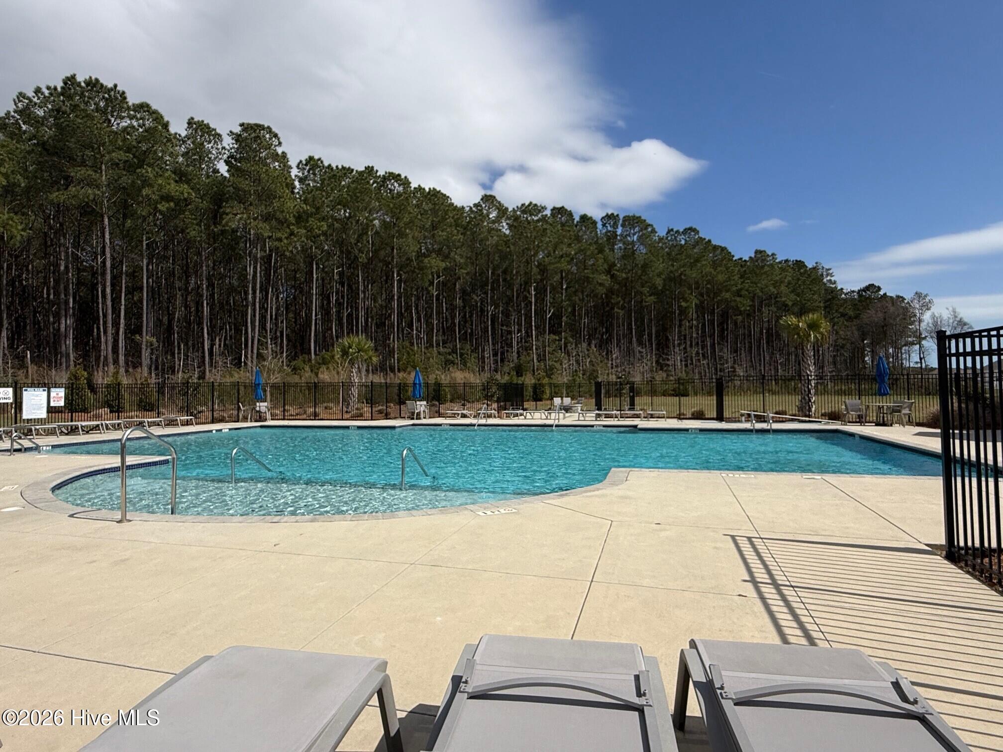 100559069 | Photo 33