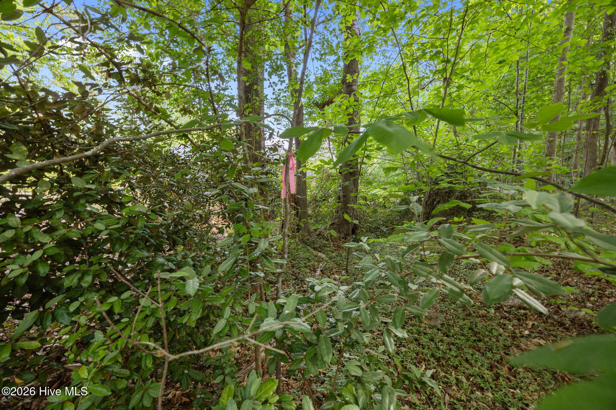 13-web-or-mls-13-IMG_9963