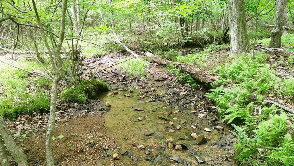 00 Tracks, Murphy, North Carolina, 0 ,For sale,Tracks,98544434 00 Tracks, Murphy, North Carolina, 0 ,For sale,Tracks,98544434