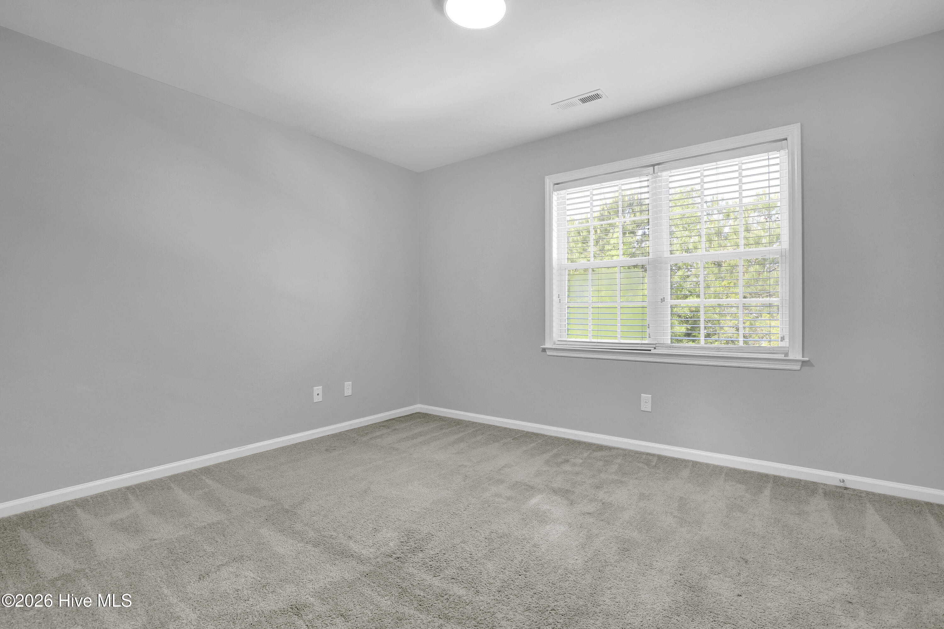 100570174 | Photo 17