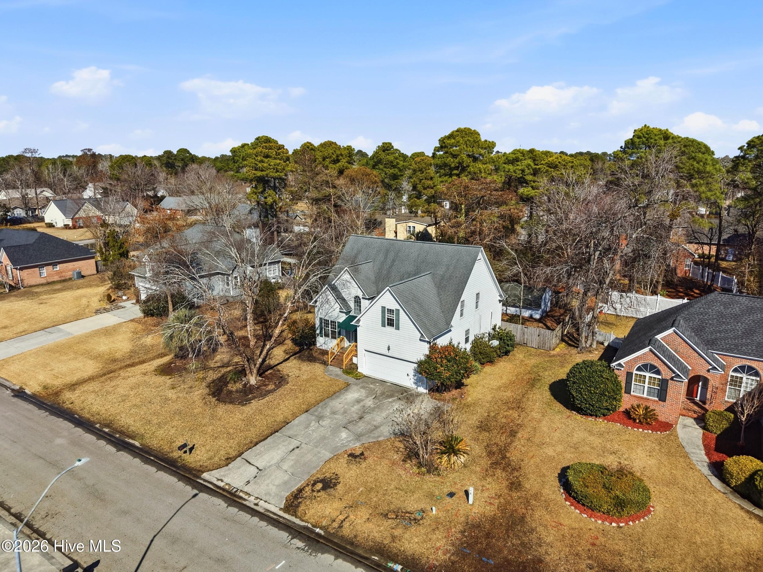 100553859 | Photo 41