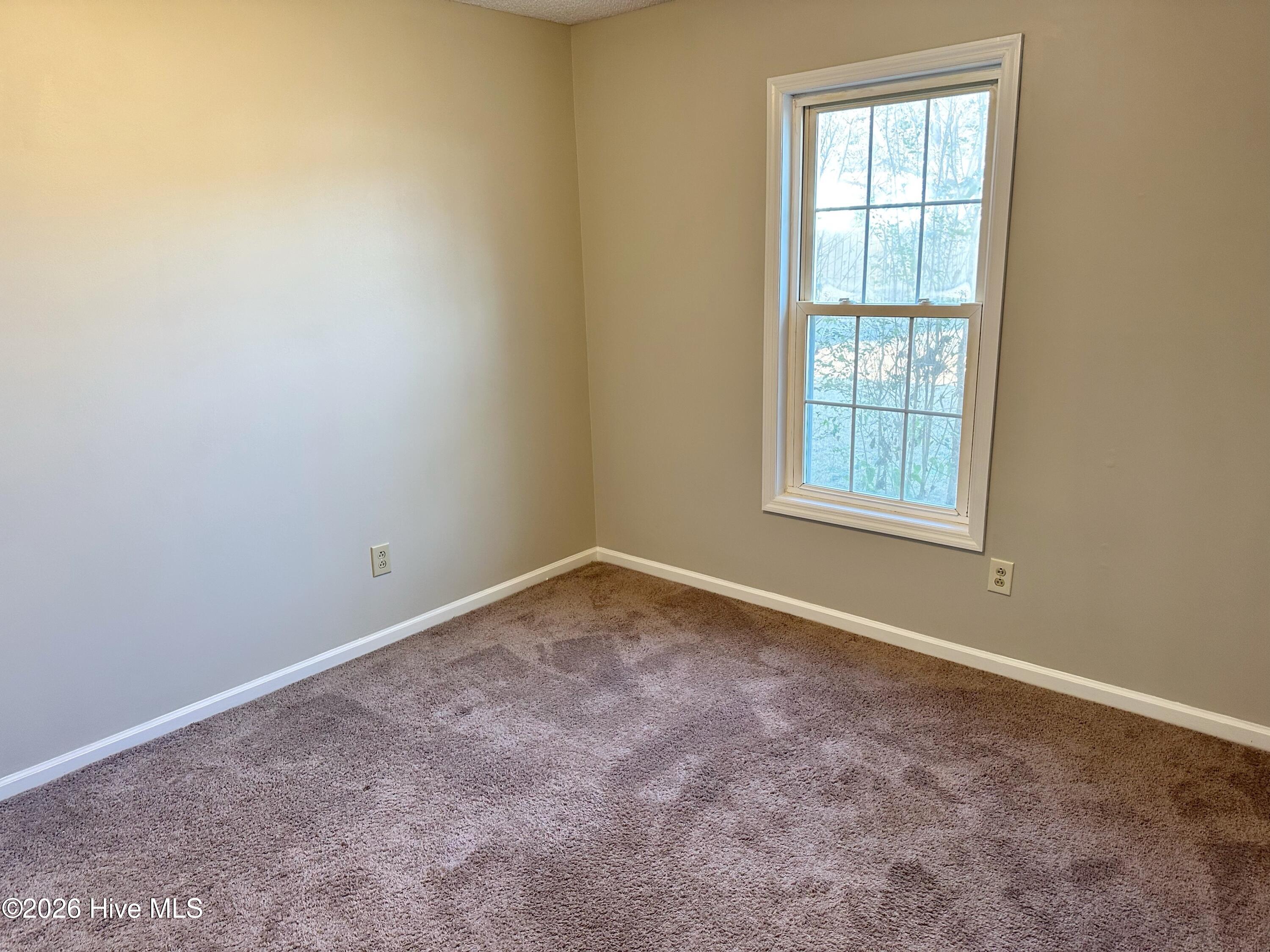 100553426 | Photo 16