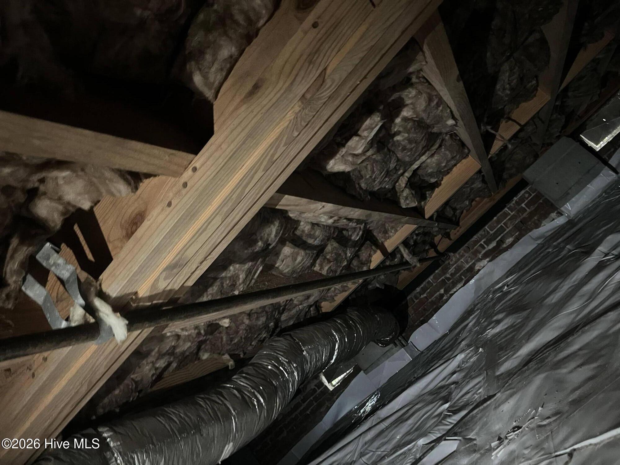 100558316 | Photo 51