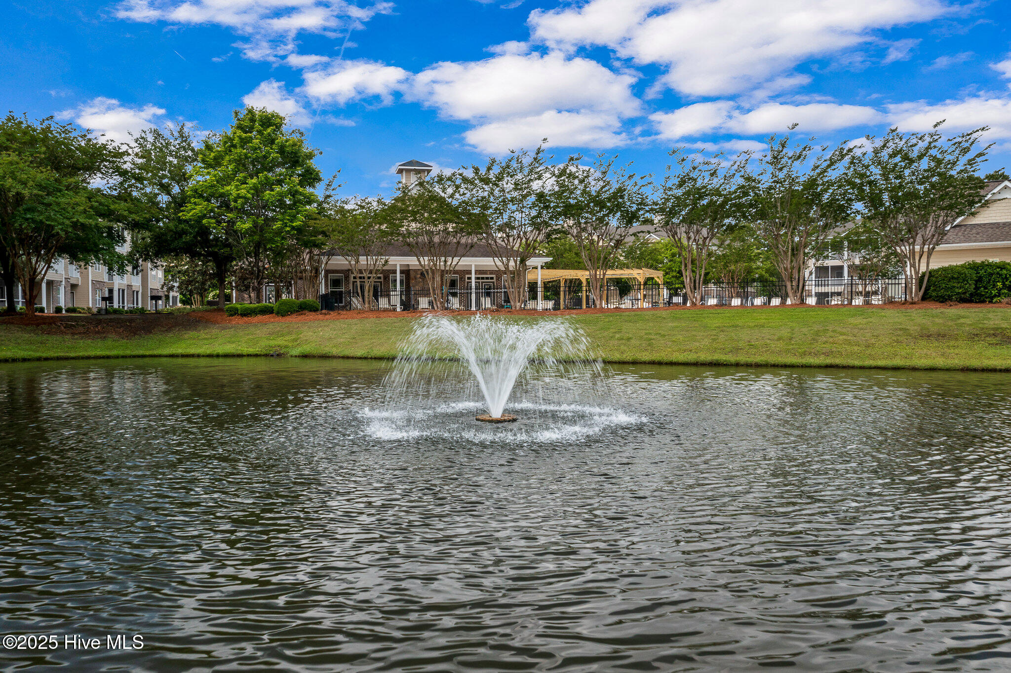 100542505 | Photo 40