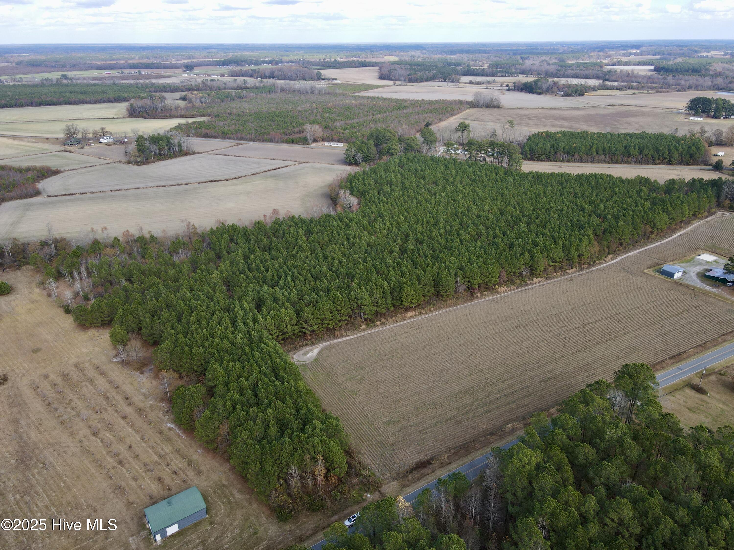 For Sale! Don't miss your chance to own this 16.68-acre mixed timber tract of woodland, featuring approximately 16-year-old growth since its last harvest. This property comes with a clean, updated survey map and is road front accessible. While no soil testing has been completed yet, the land offers endless possibilities with no zoning restrictions. Whether you're looking for an investment opportunity or a peaceful retreat, this property is full of potential. Act now and make it yours today!