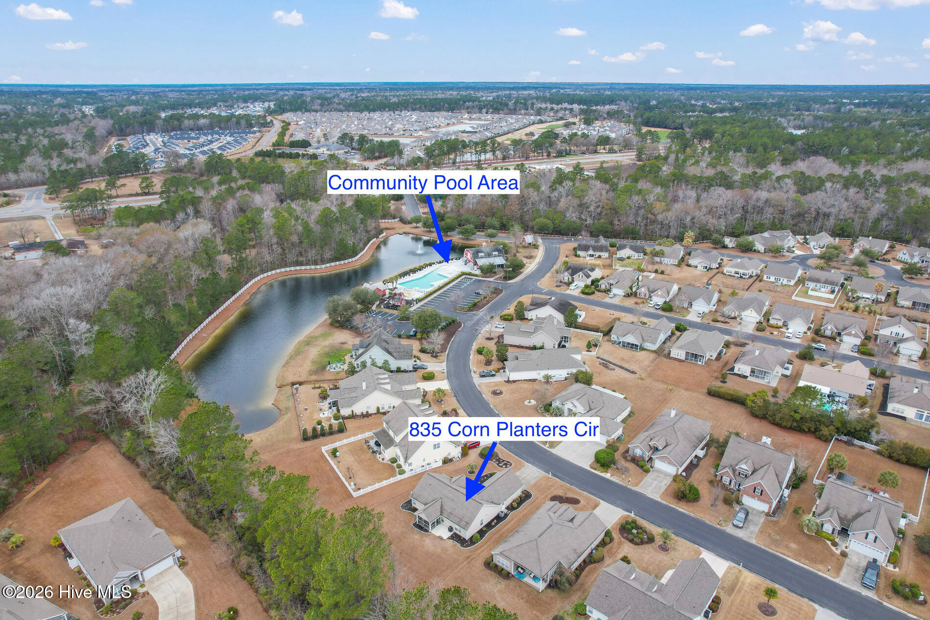 100555398 | Photo 32