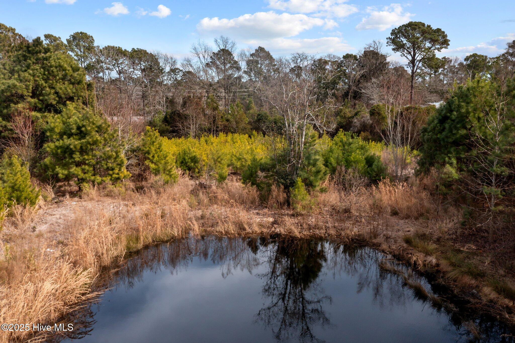 100501075 | Photo 20