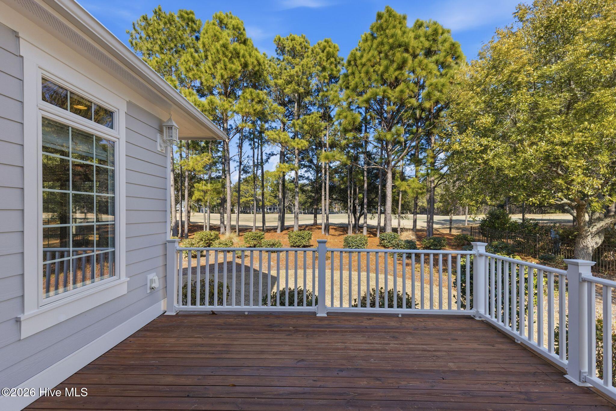 100553774 | Photo 63