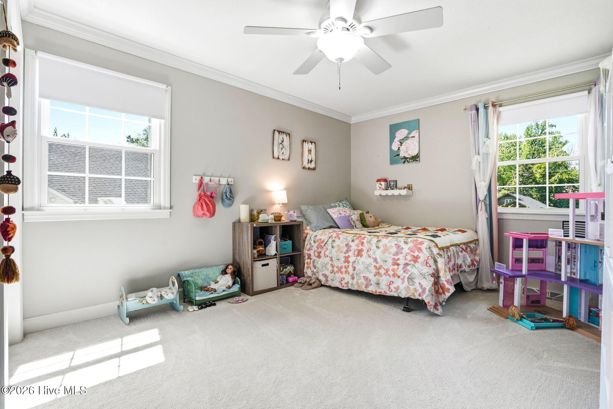 100568648 | Photo 53