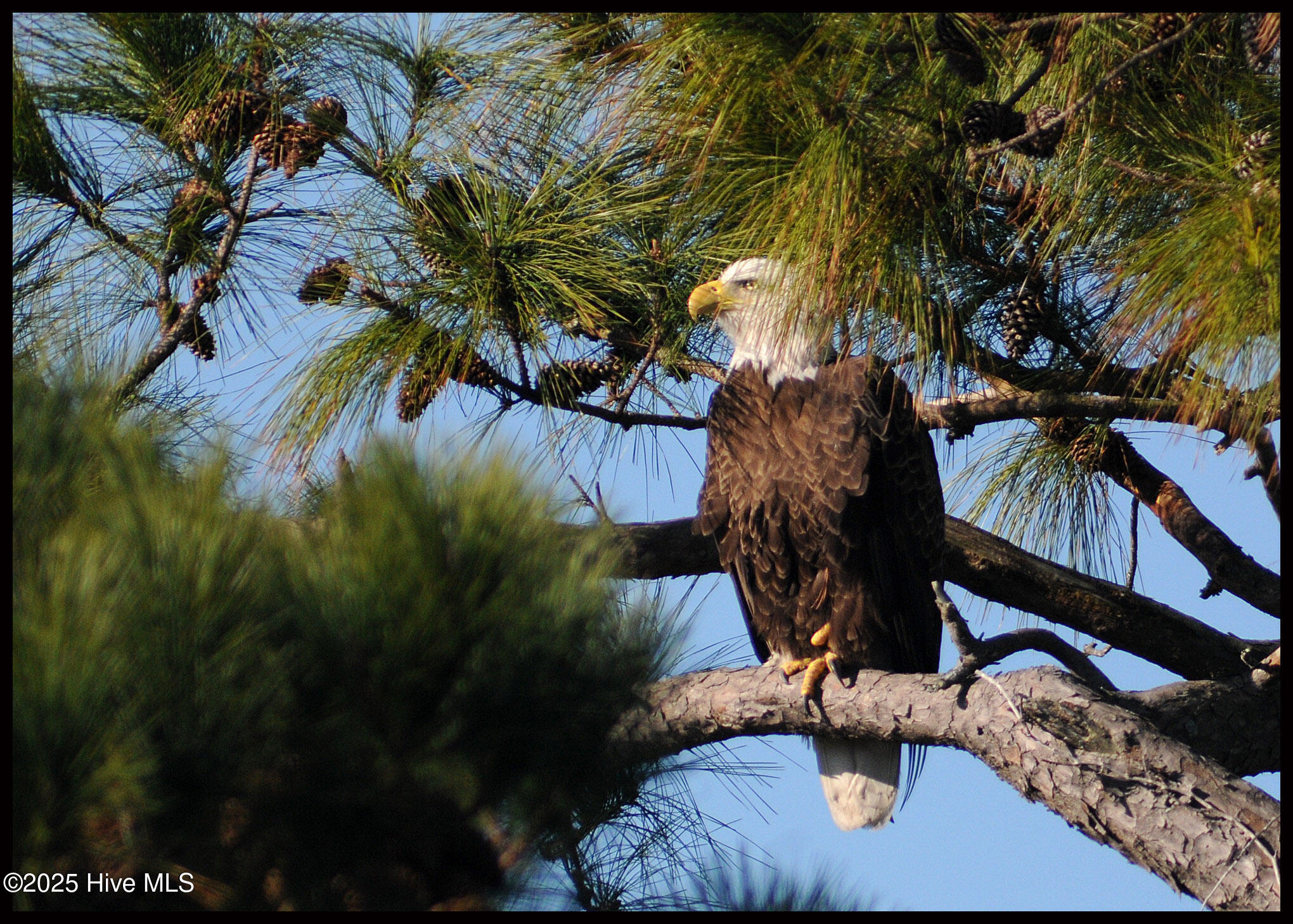 100540889 | Photo 58