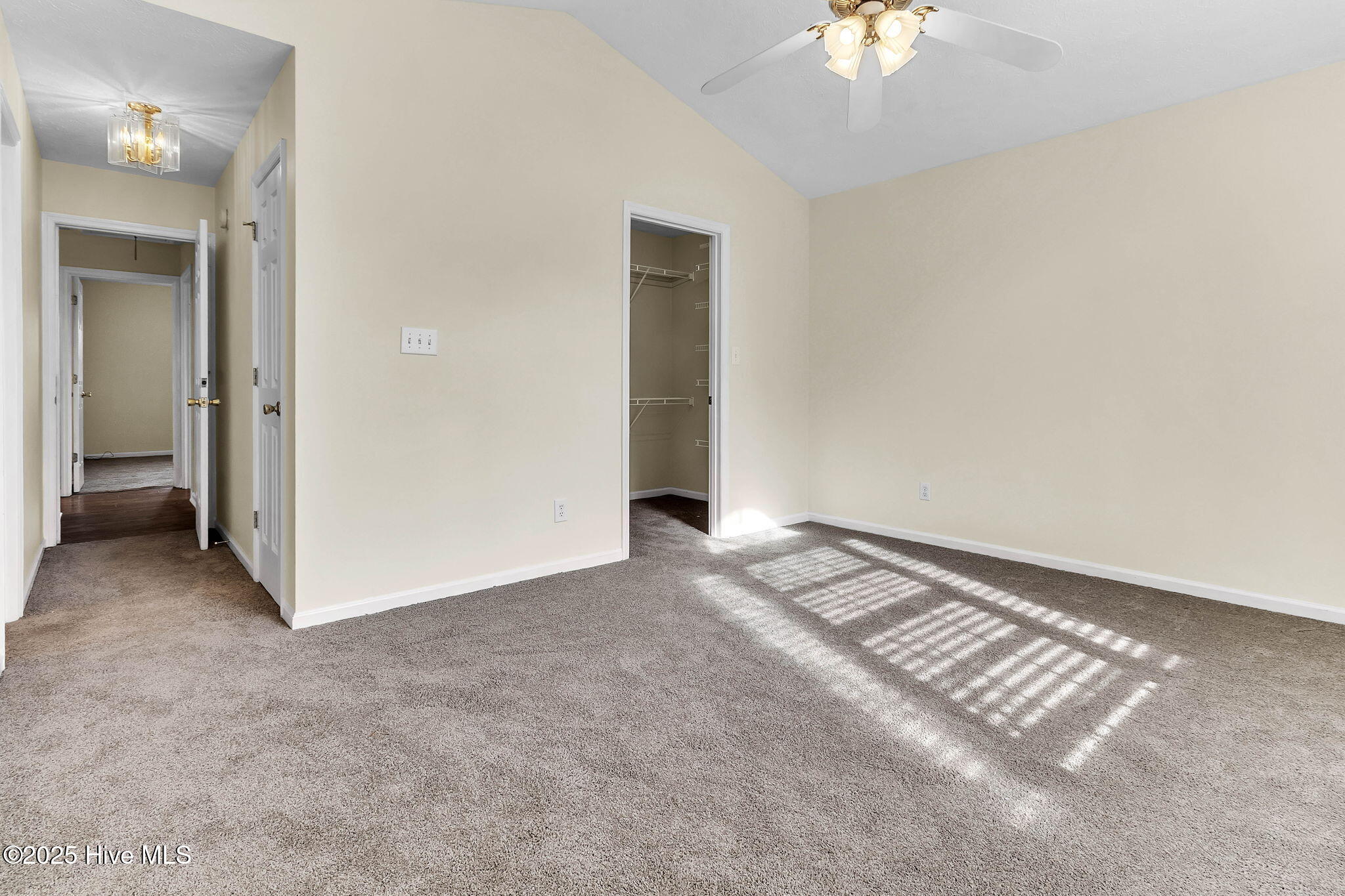 100546241 | Photo 17