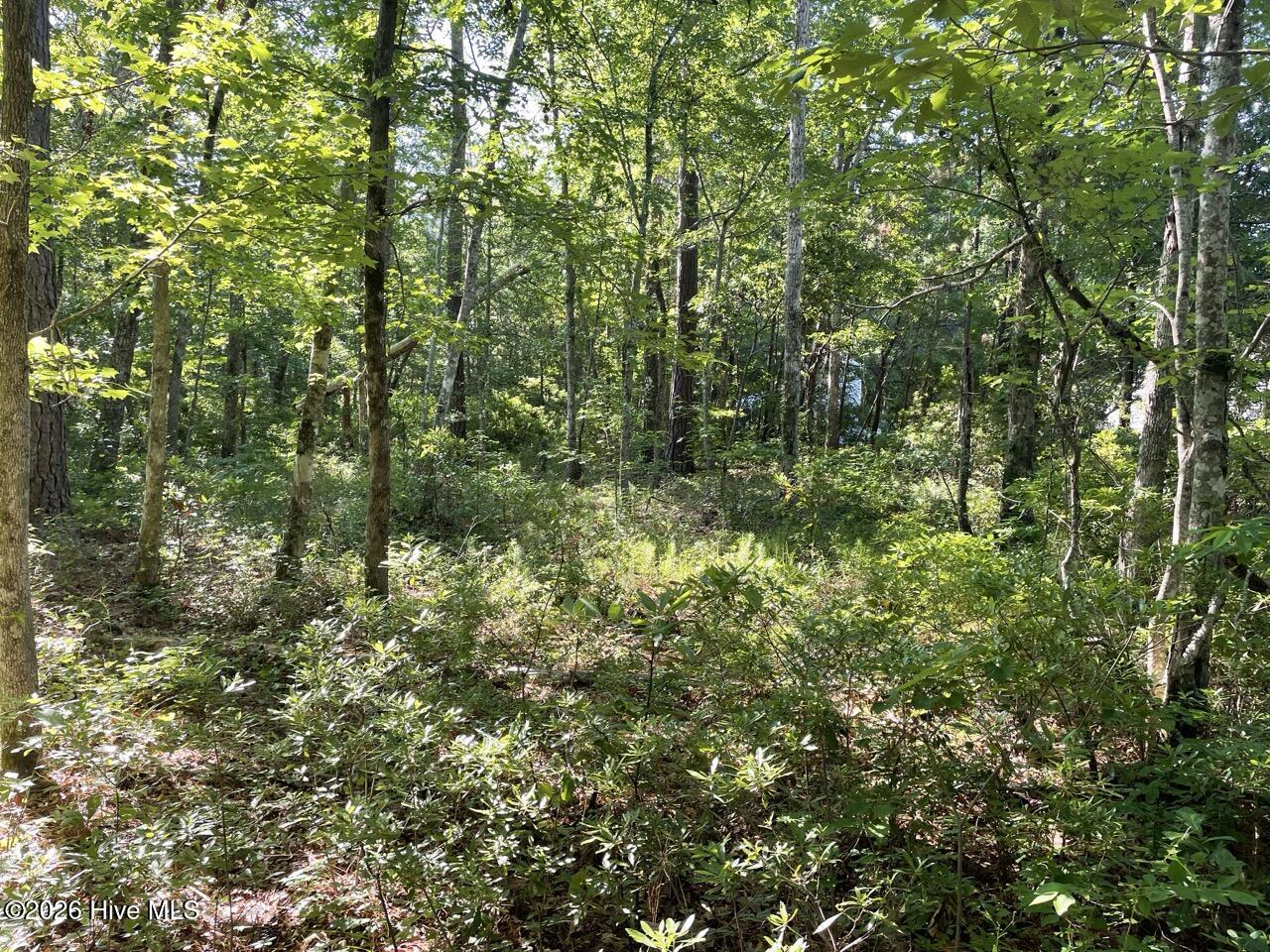 126 34 Deer Trail,Beaufort